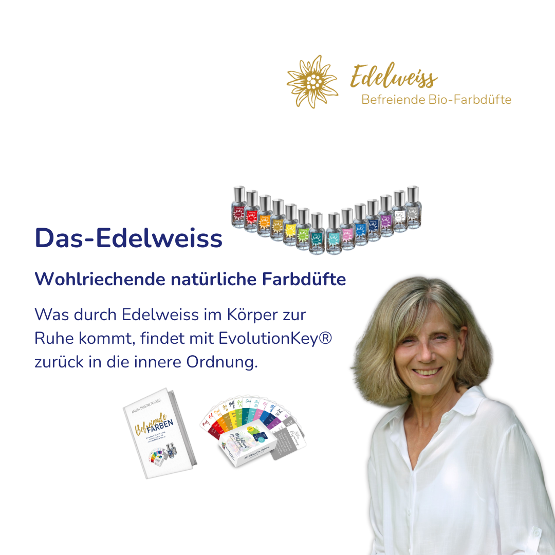 Natürliche Düfte, Buch & Karten - Mentoring - Weiterbildungsprogramm