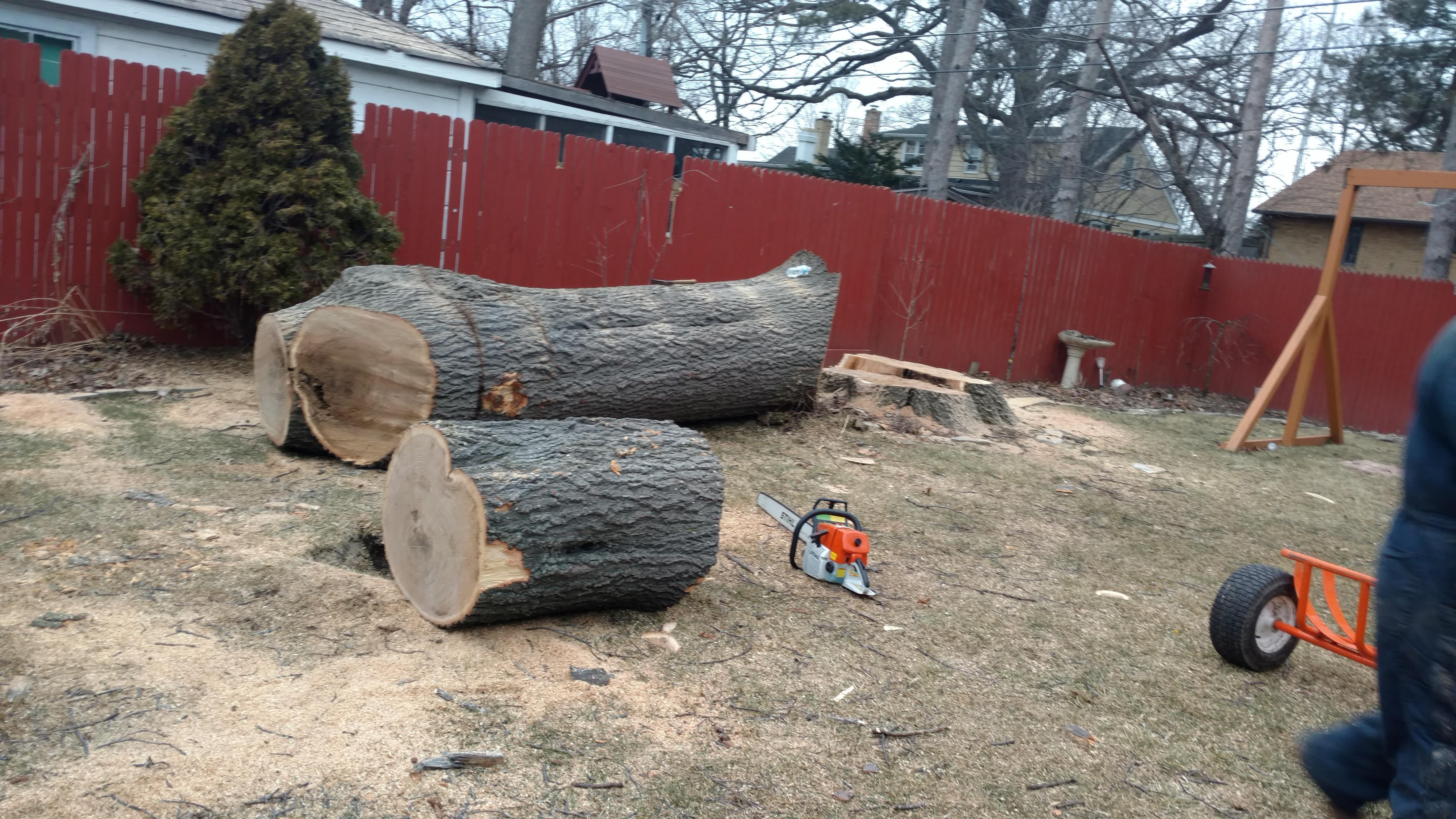 New Beginning Tree Service Company Image