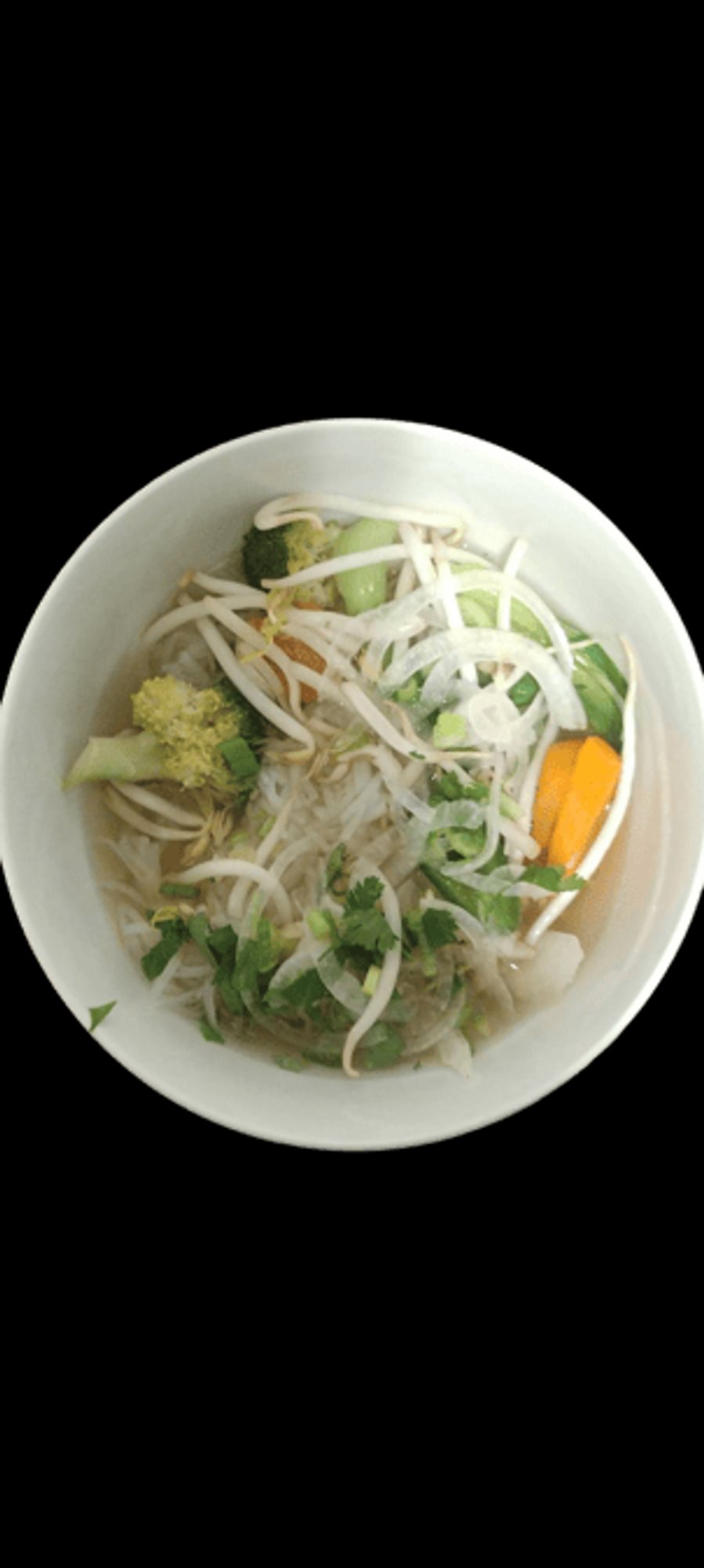 V1 Pho