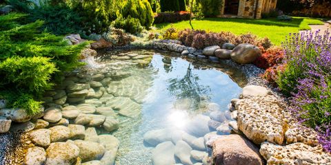 3 Tips to Turn Your Yard into an Oasis