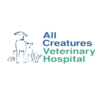 All Creatures Veterinary Hospital Photo