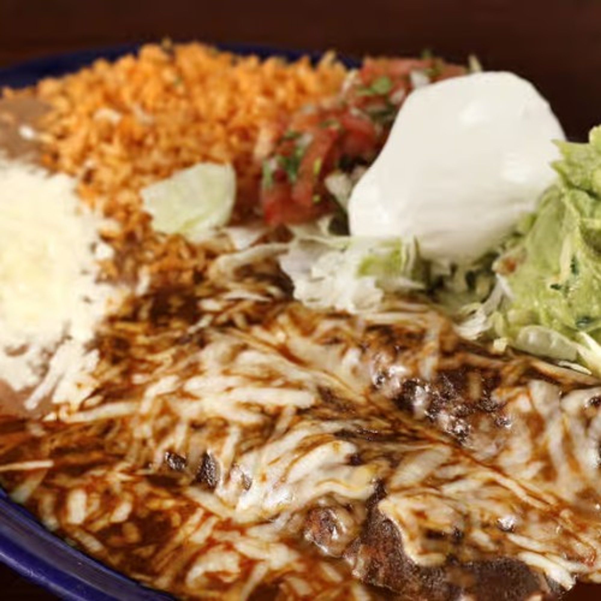 Mole Enchilada plate