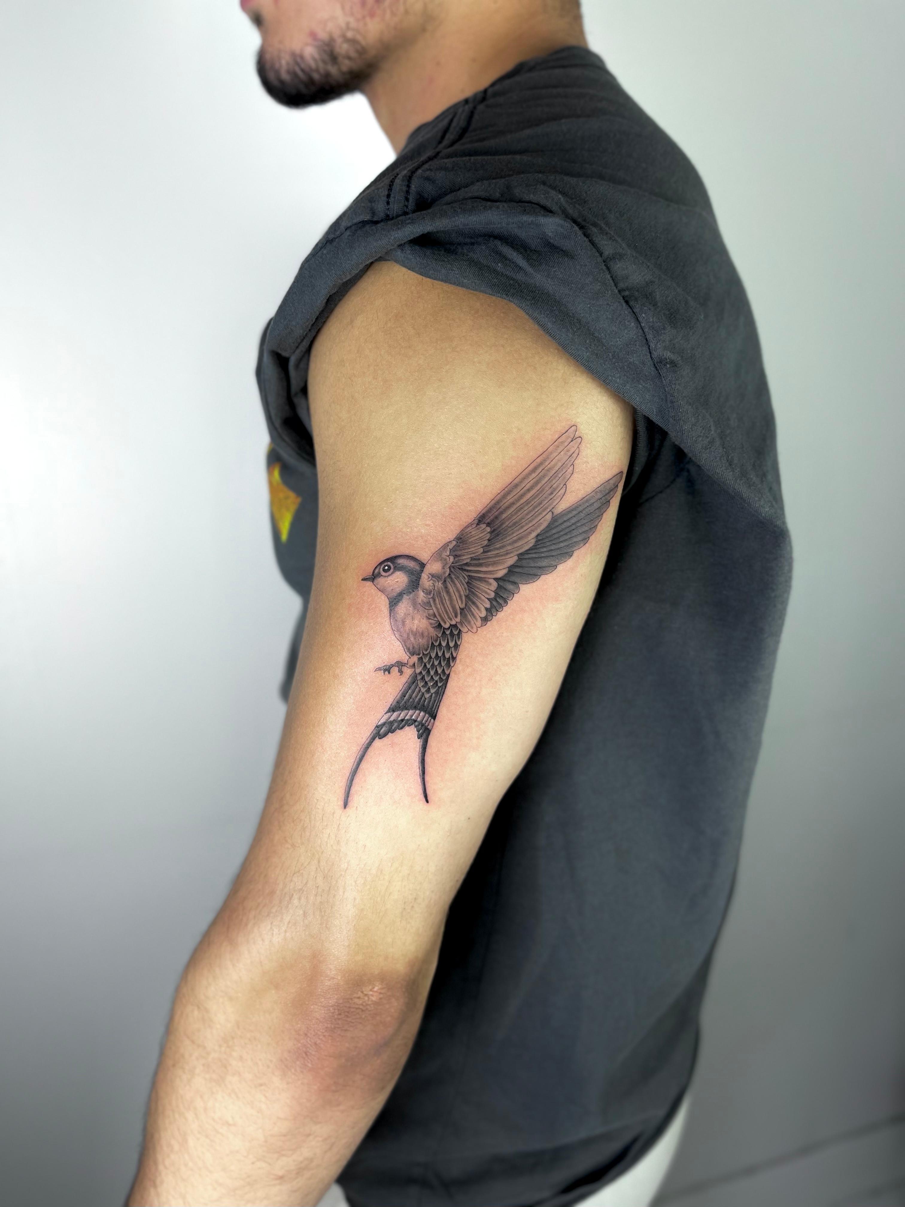 Baron Art Tattoo & Piercing Studio Image