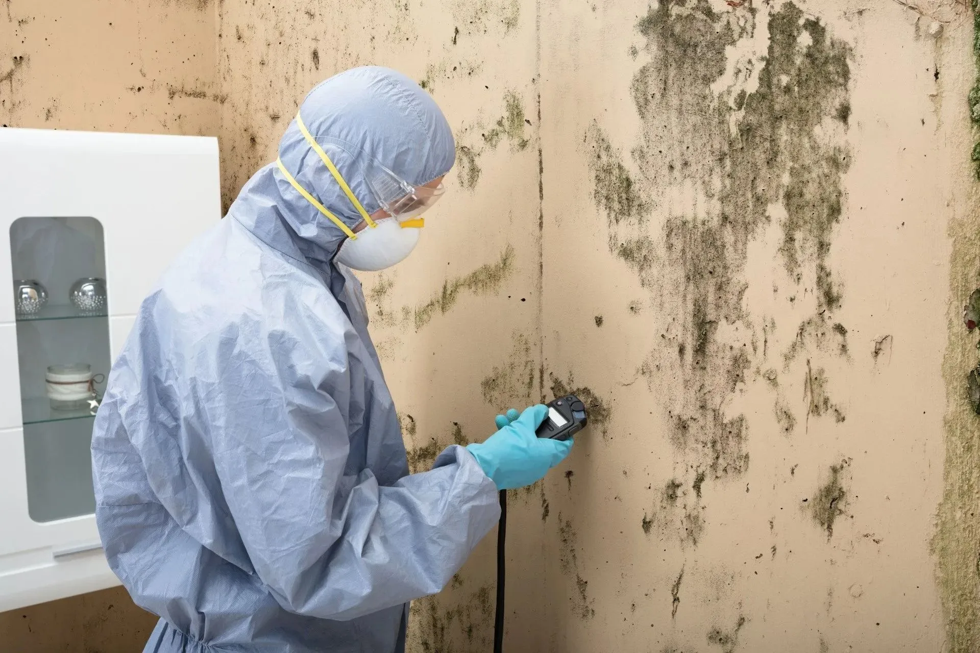 Residential Mold Remediation