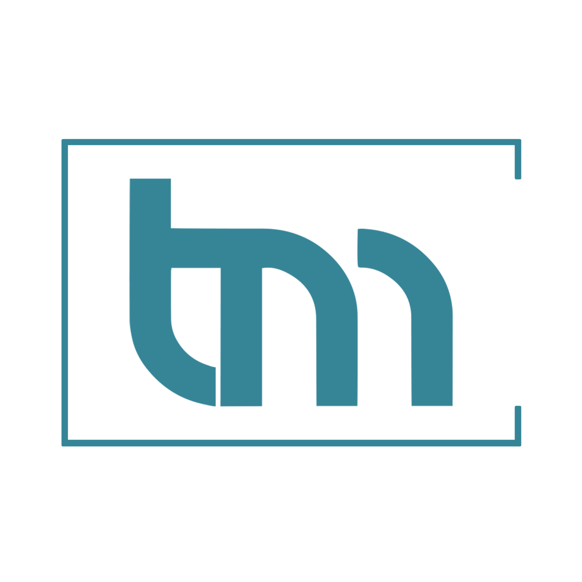 Tailor Made Video & Marketing