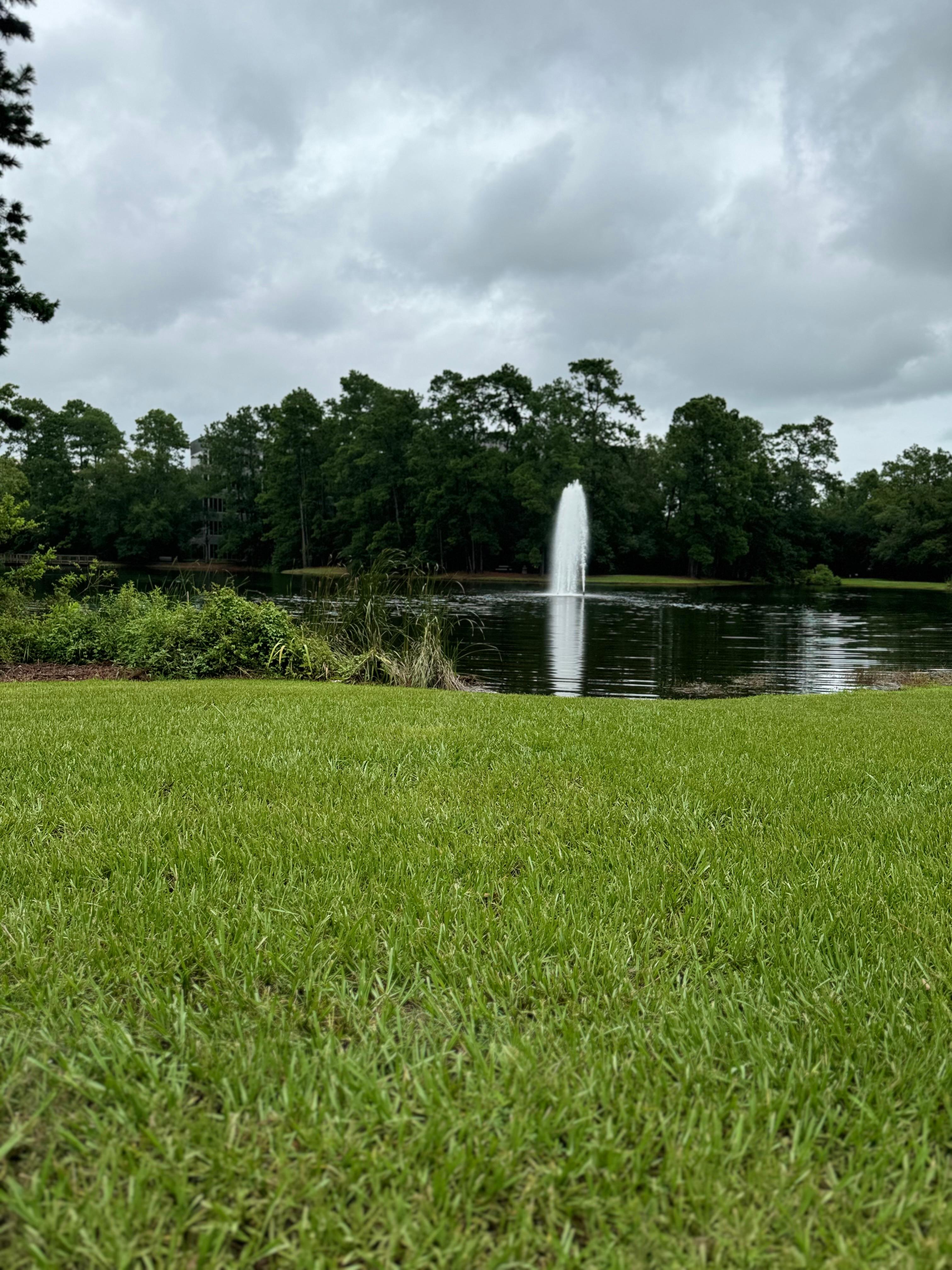 OCD and Anxiety of The Woodlands, PLLC