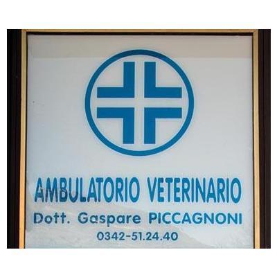 Ambulatorio Veterinario Piccagnoni
