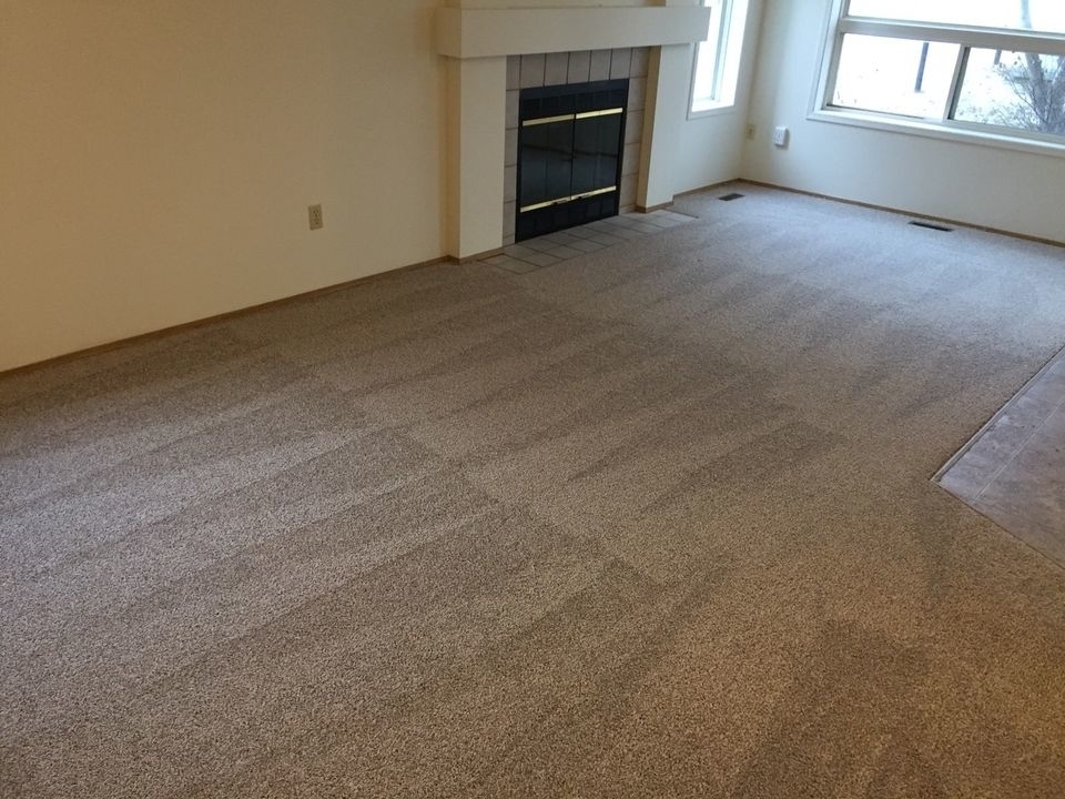 Images Freedom Flooring