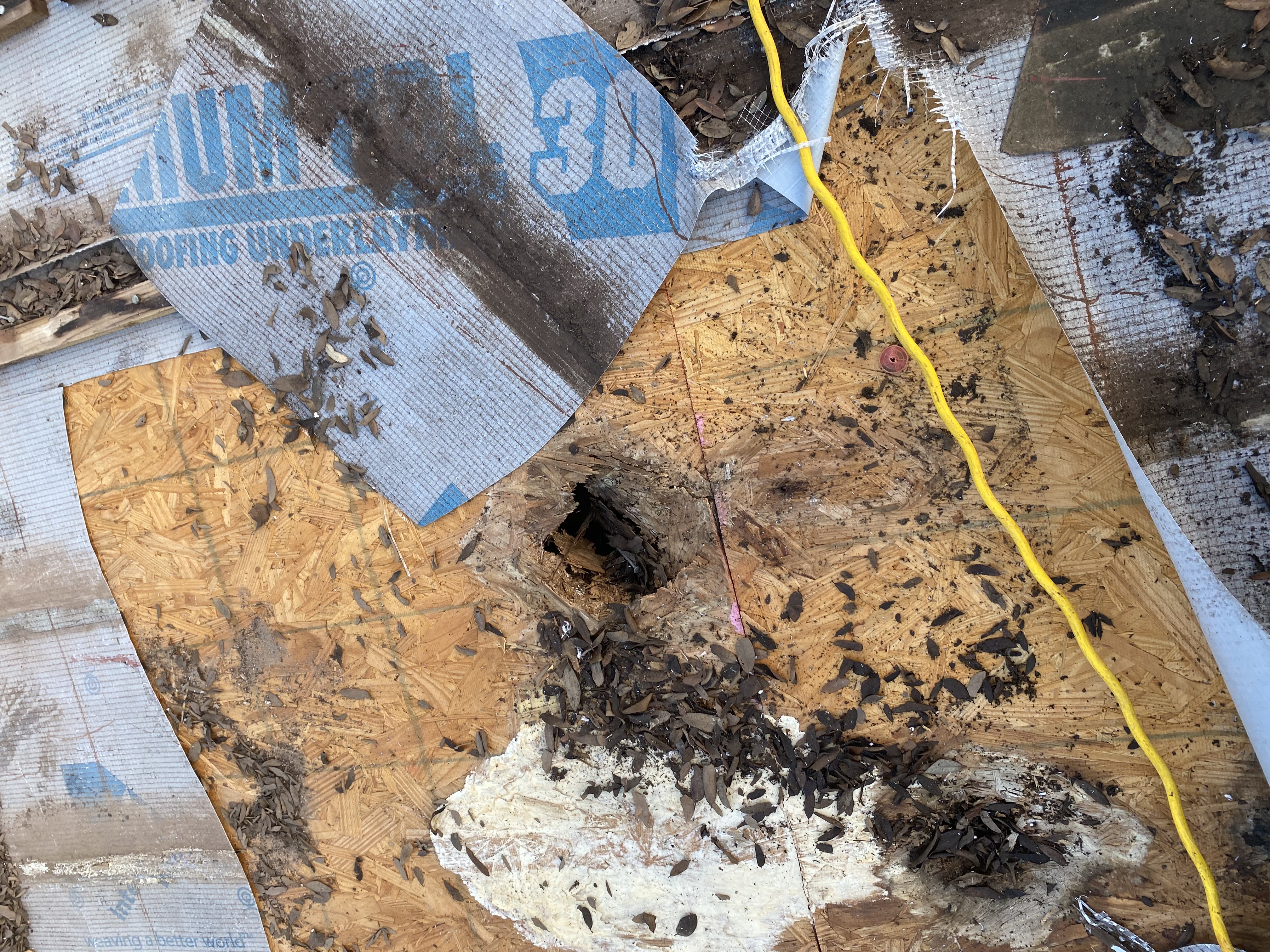 Homestead Roofing Image