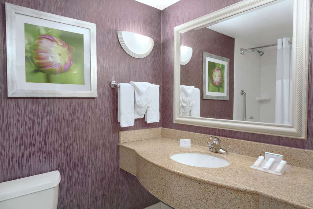 Hilton Garden Inn Springfield, MA Image