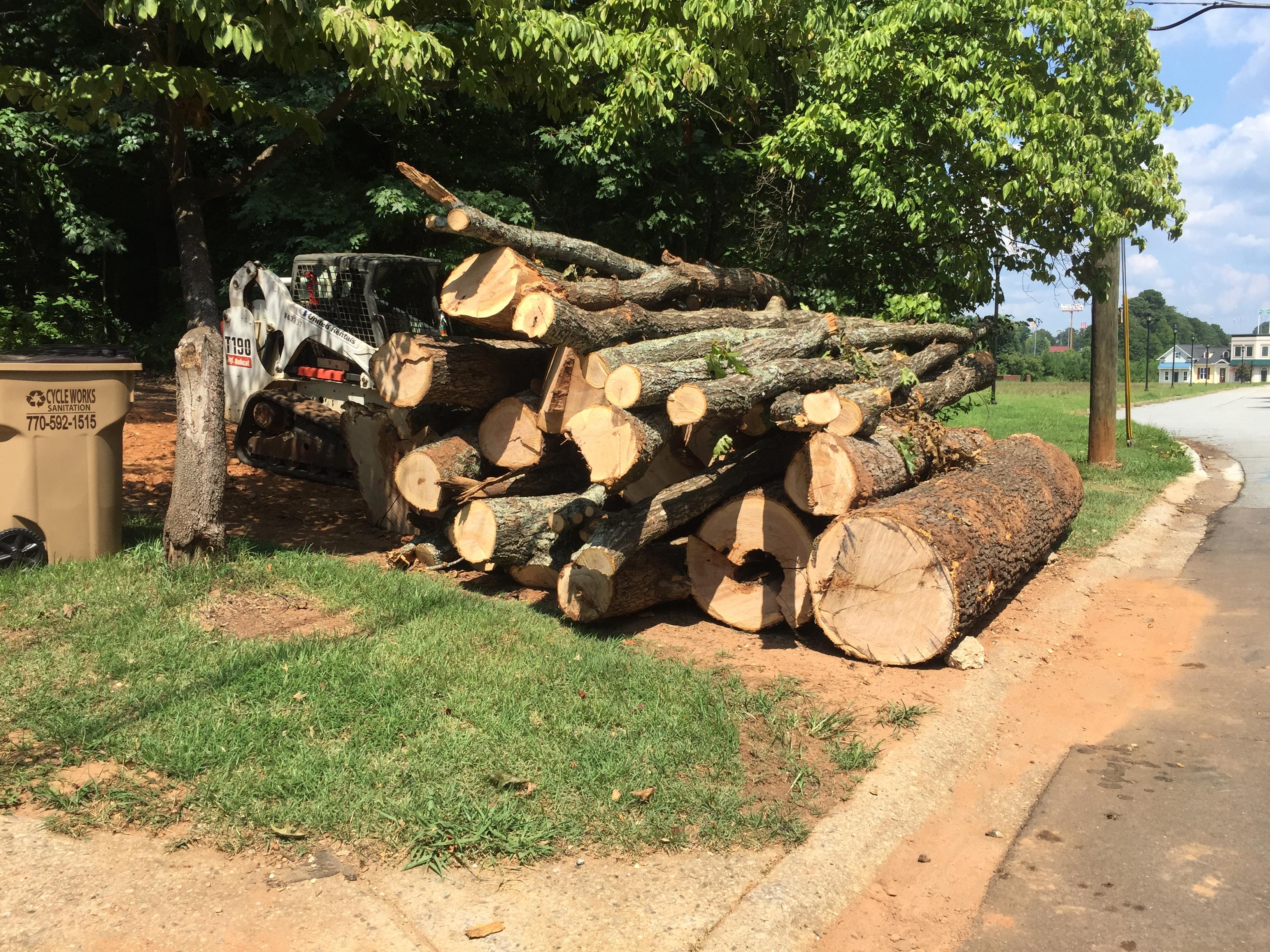 TreeDog Atlanta Services LLC Image