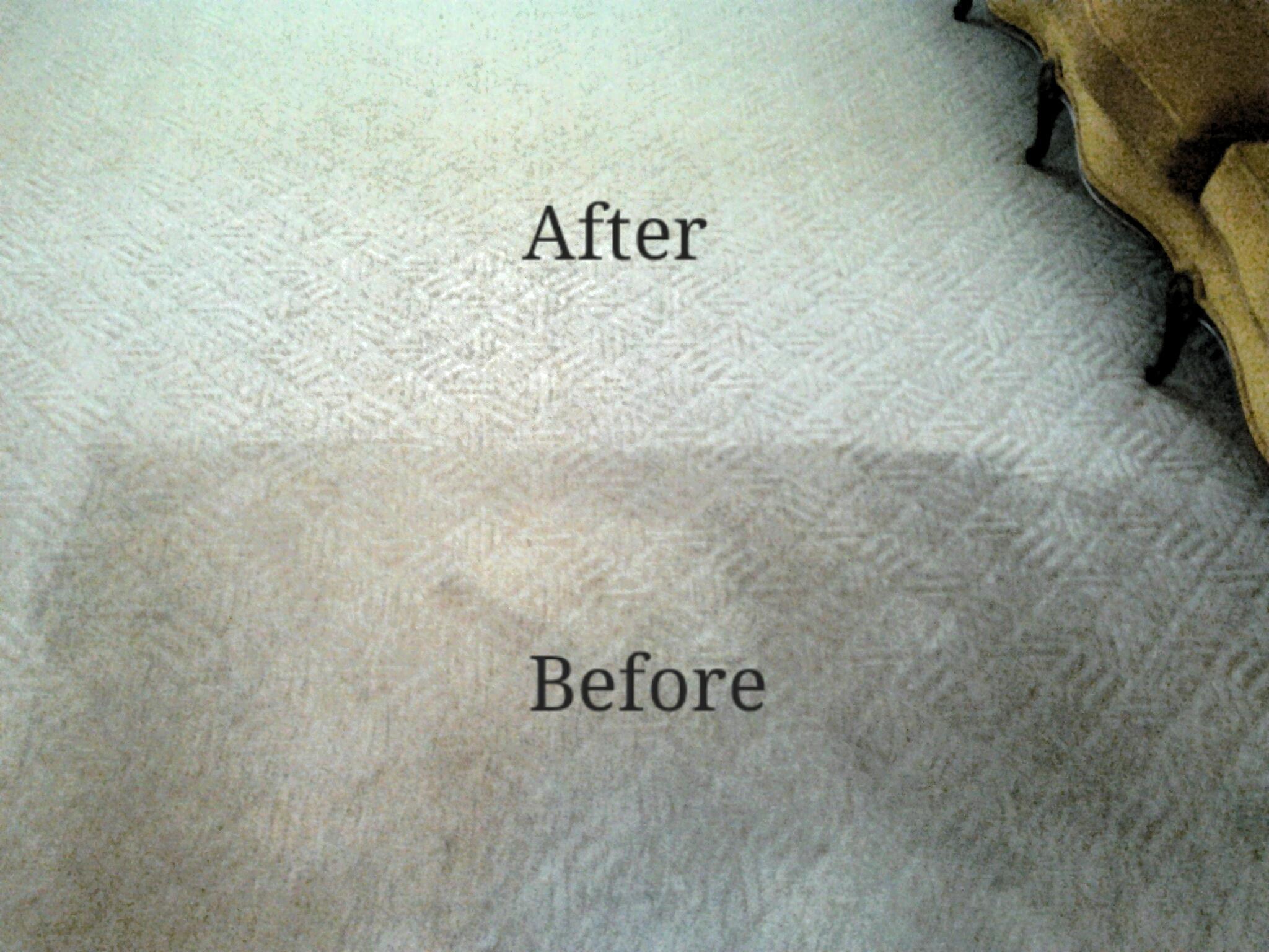 Berber Carpet Cleaned on 1/6/15 in Newtown pa.