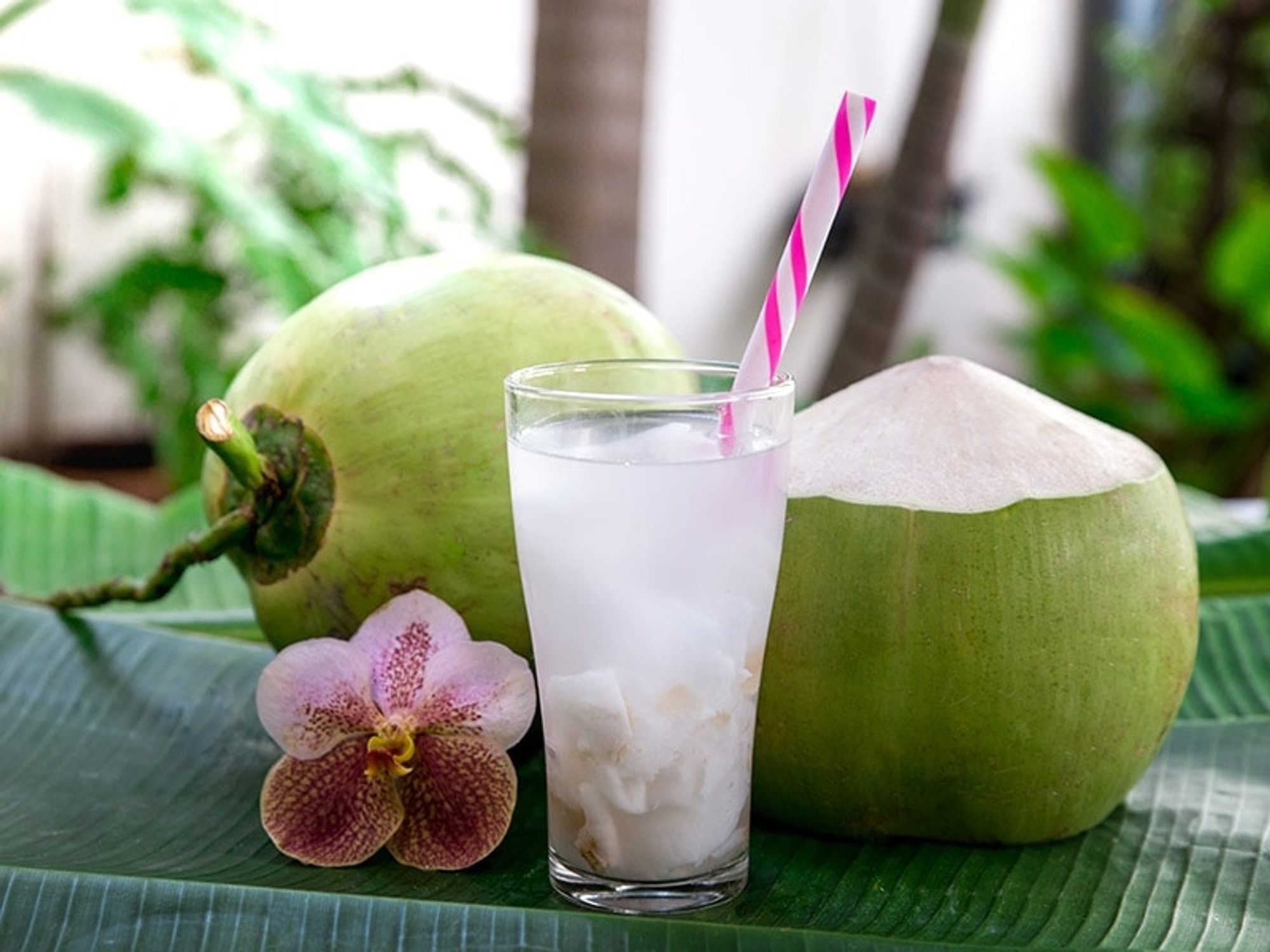 Coco Frio
