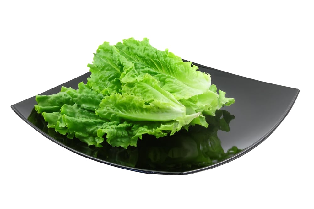 Lettuce