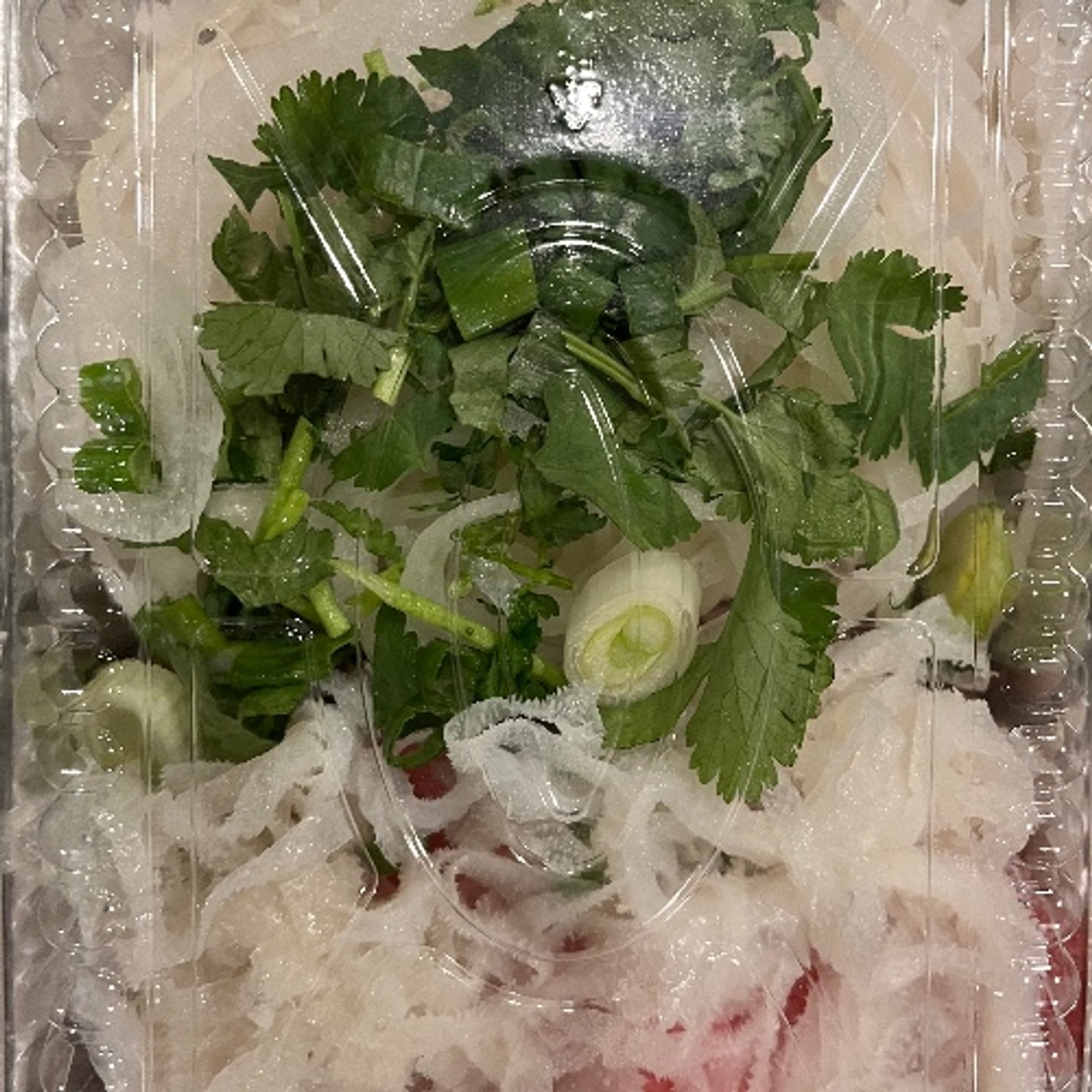Special Beef Pho