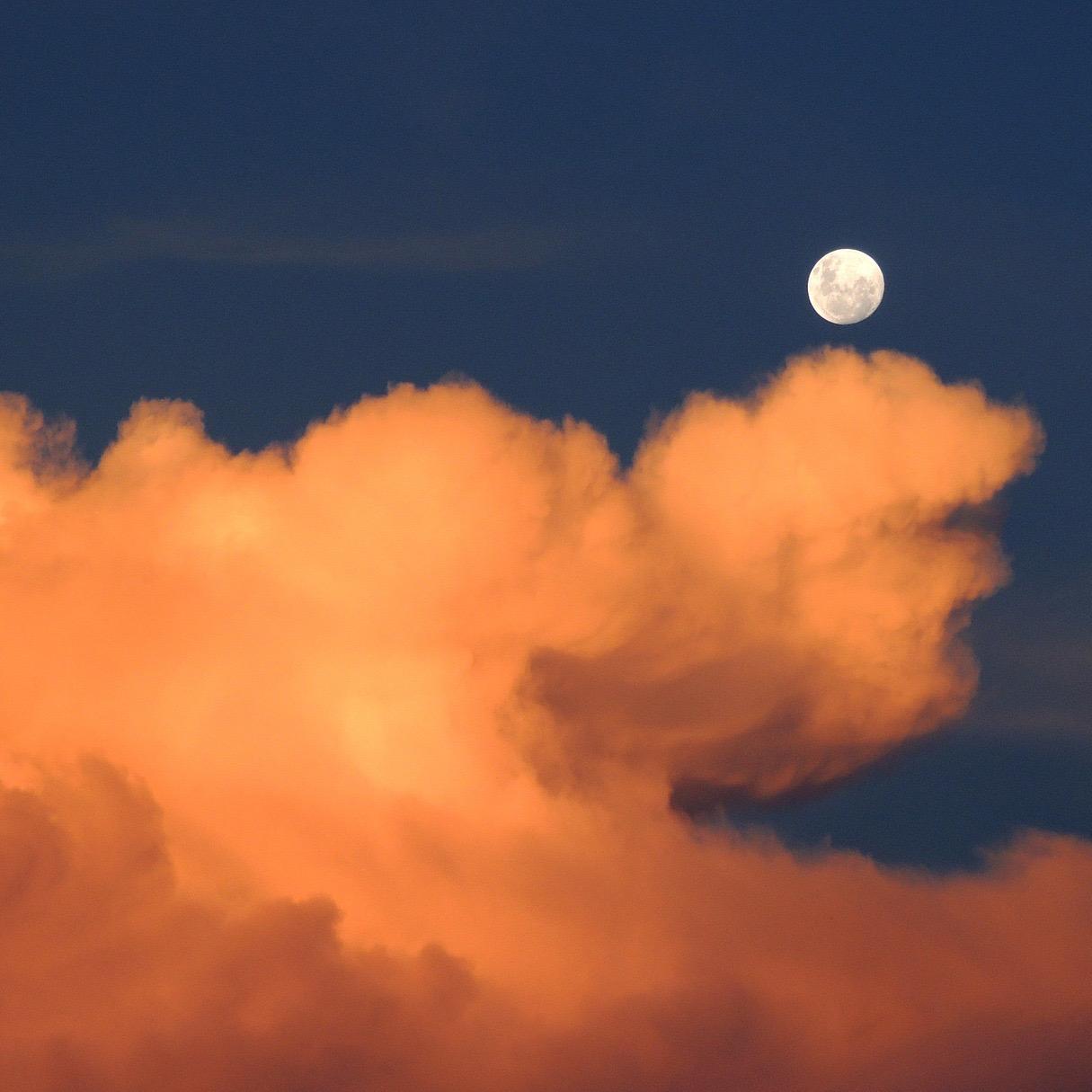 Starbucks Oneida Logo