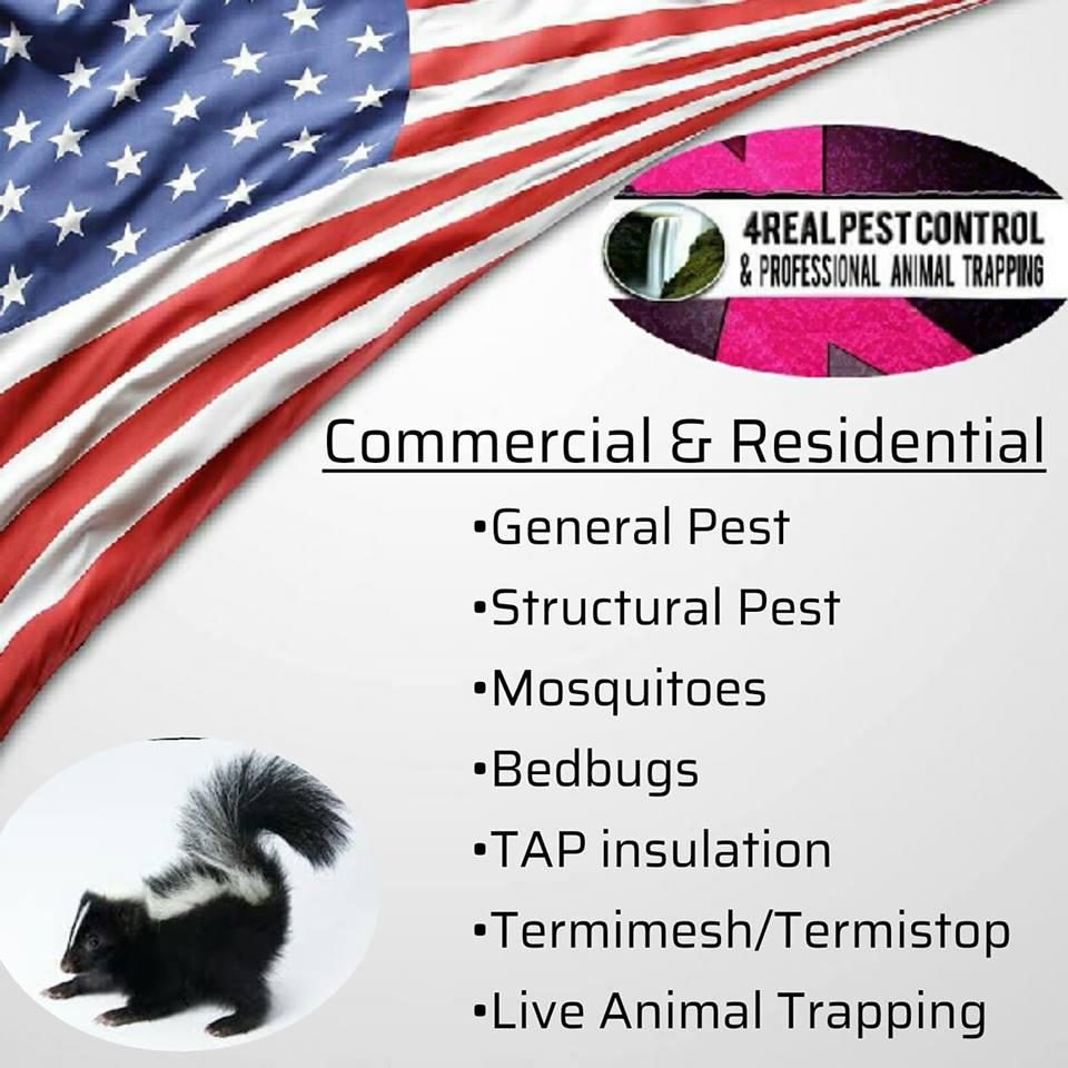 4Real Pest Control & Professional Animal Trapping Photo