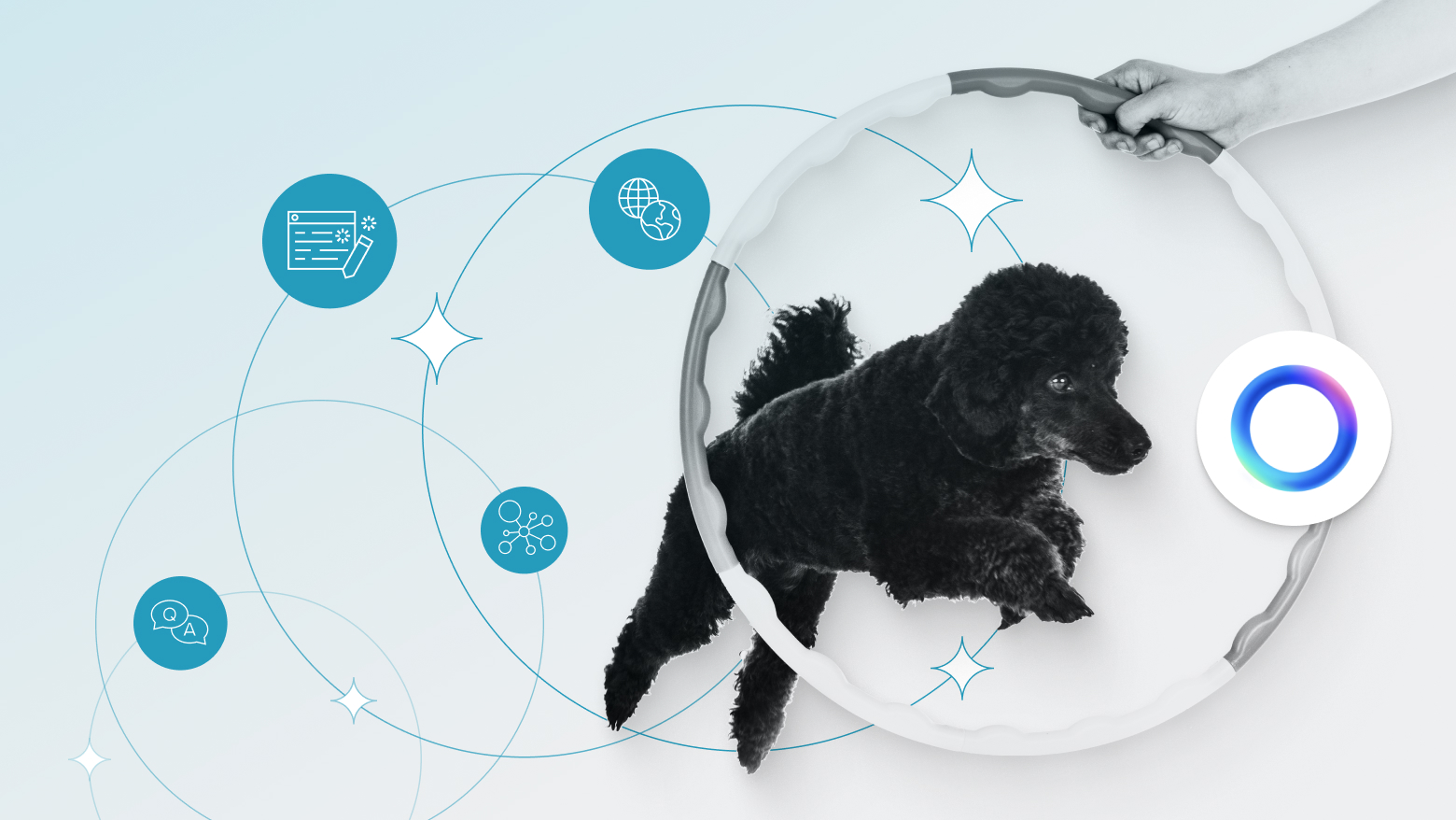 Illustration of a black poodle jumping through a hoop, surrounded by icons representing structured data — symbolizing how AI models learn and improve through training.