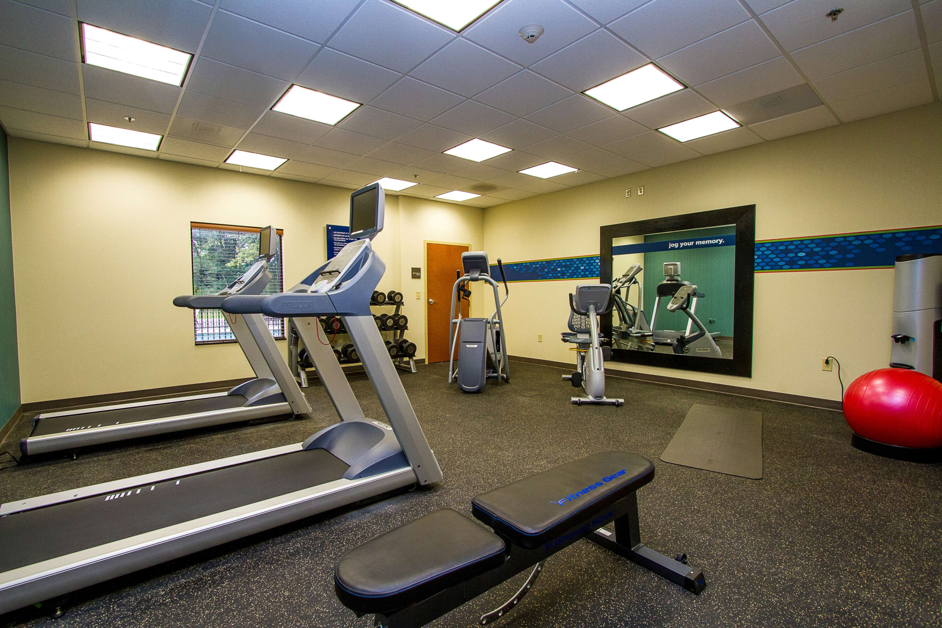 Health club  fitness center  gym