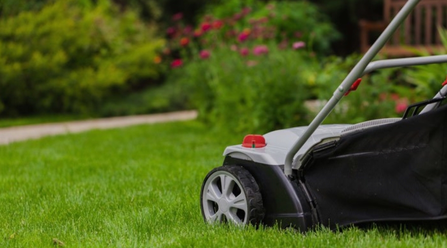 Lawn Care Services