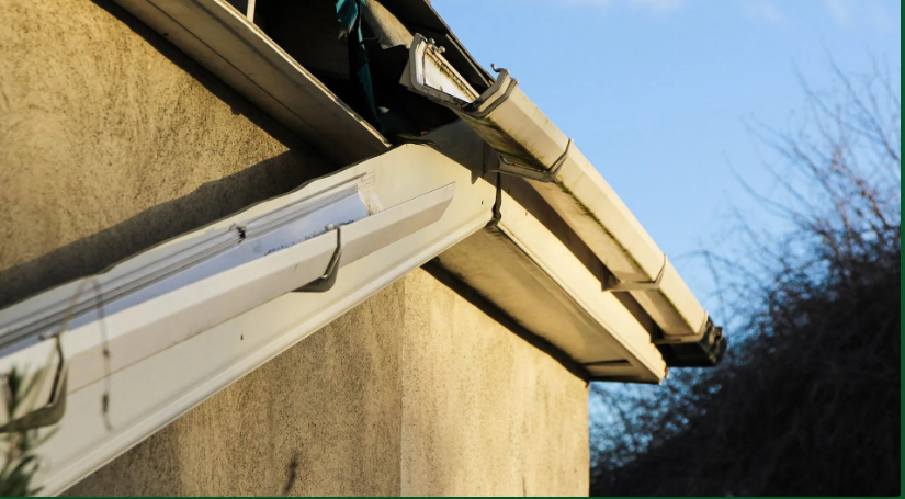 Rene the Tinner, Inc Image