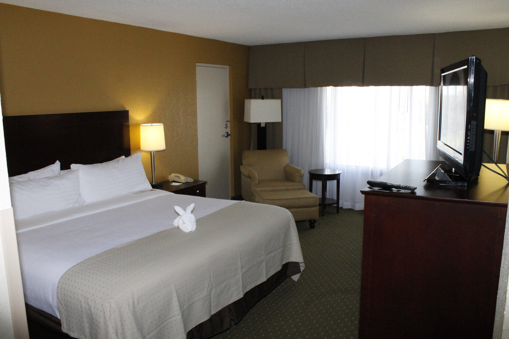 Holiday Inn St Petersburg N - Clearwater Photo