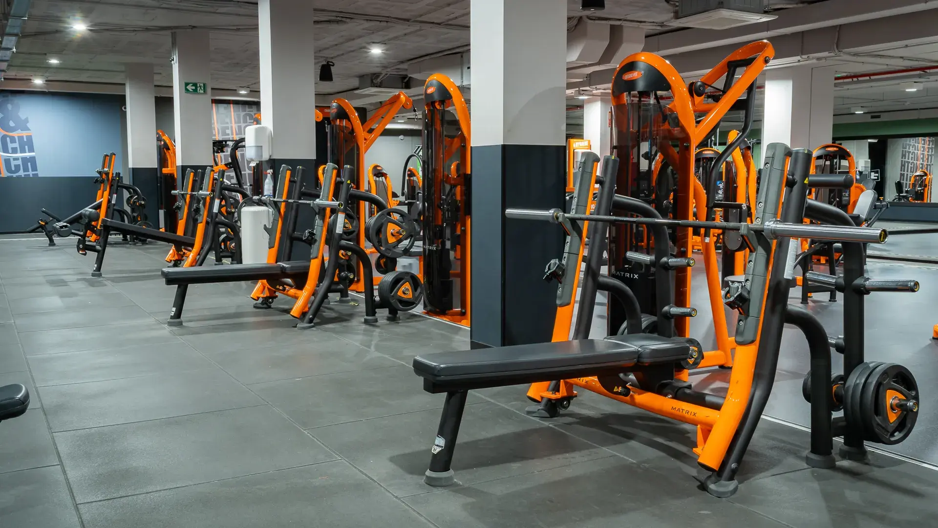 Galería de imágenes