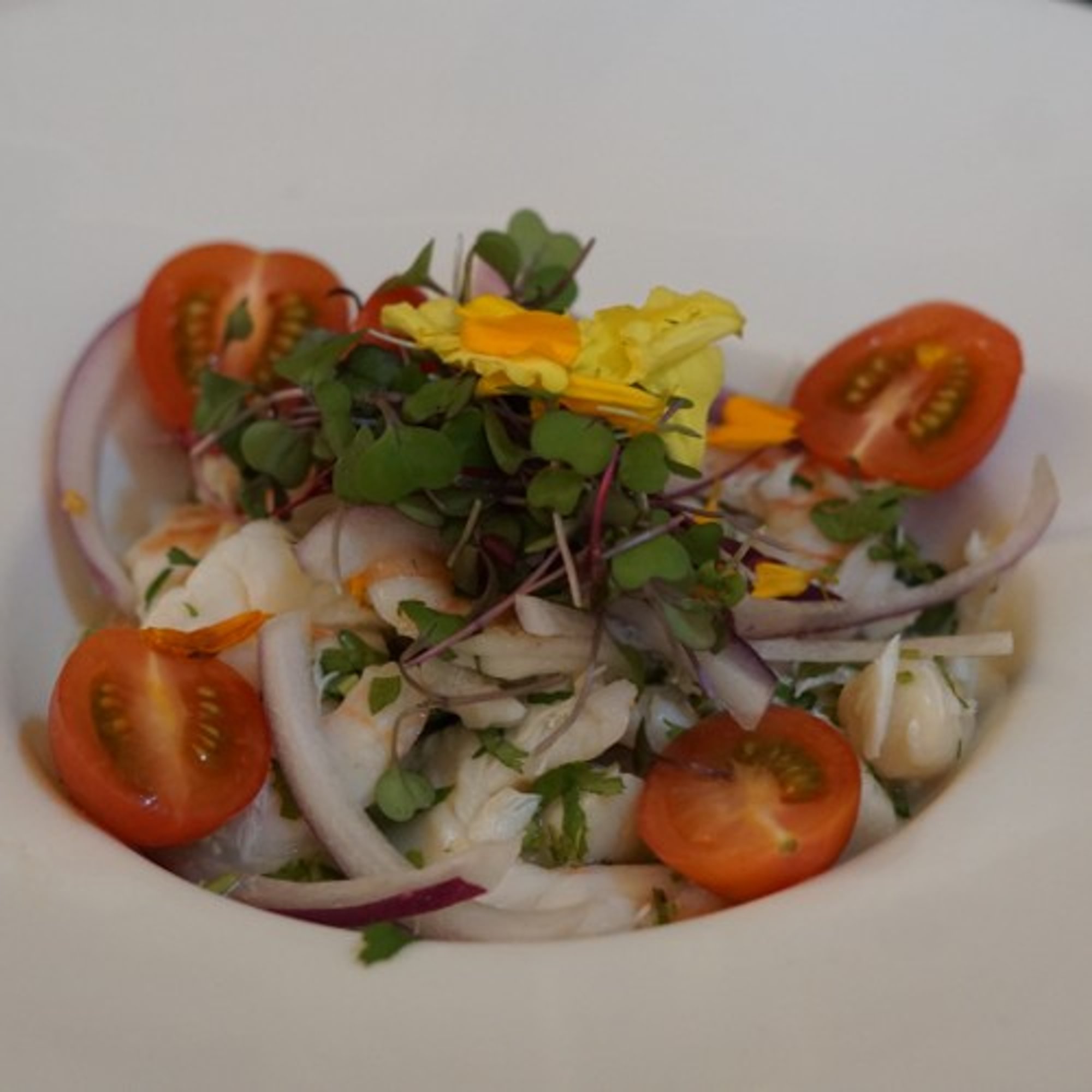 Byblos Ceviche