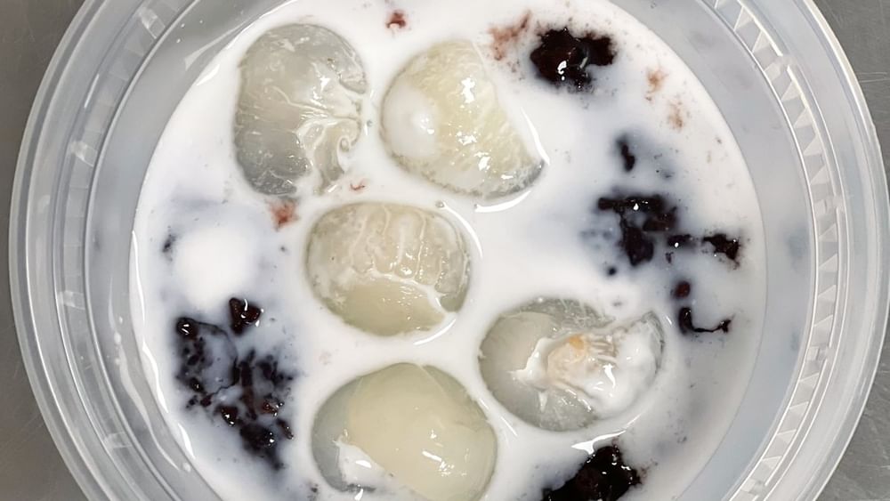 Purple Rice Pudding