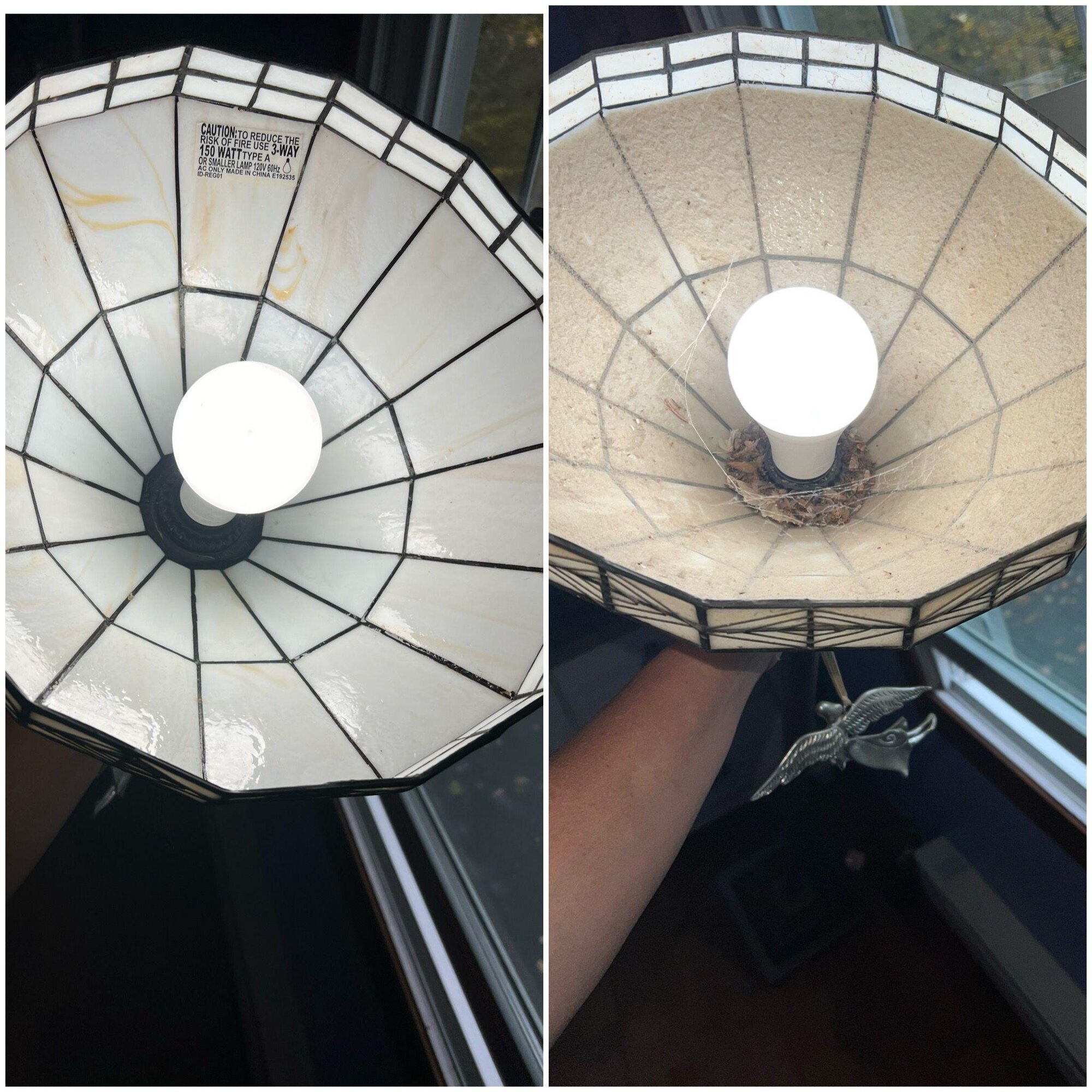 Power of Love Cleaning Services Image