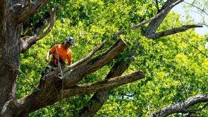 PACE LAND SVC LLC Image