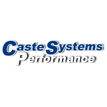 CasteSystems Performance