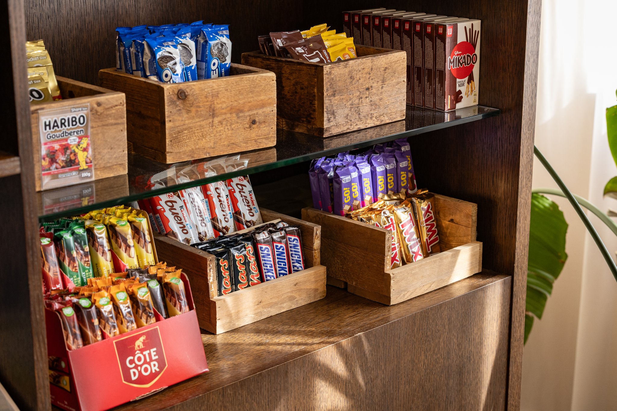 Miniature de la galerie