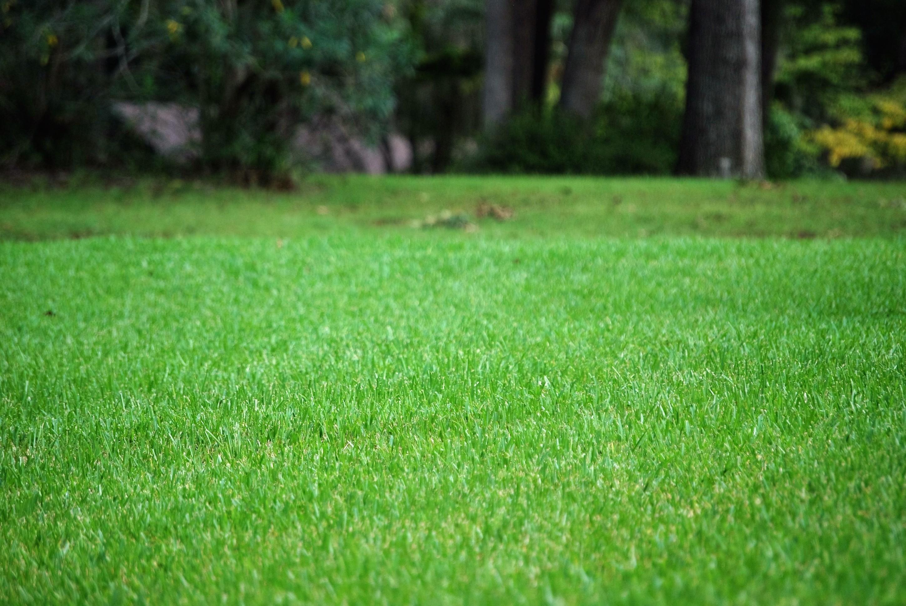 Dickerson Landscaping & Lawn Care | Tallahassee, FL Image