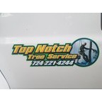 Top Notch Tree Service Photo