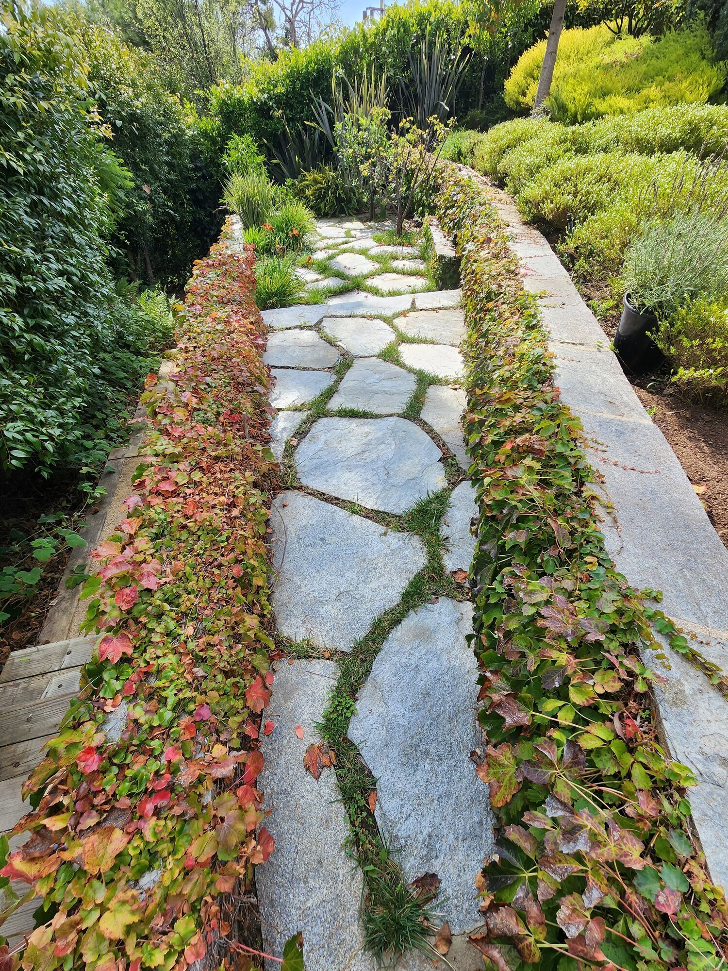 Robinson Environmental Design Image