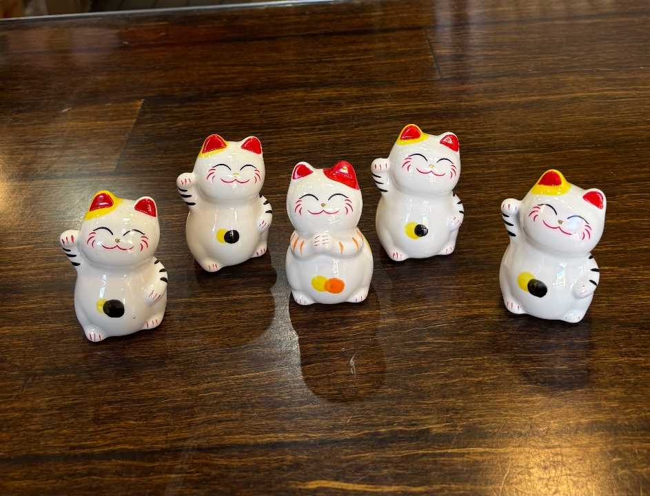 Small Money Cat
