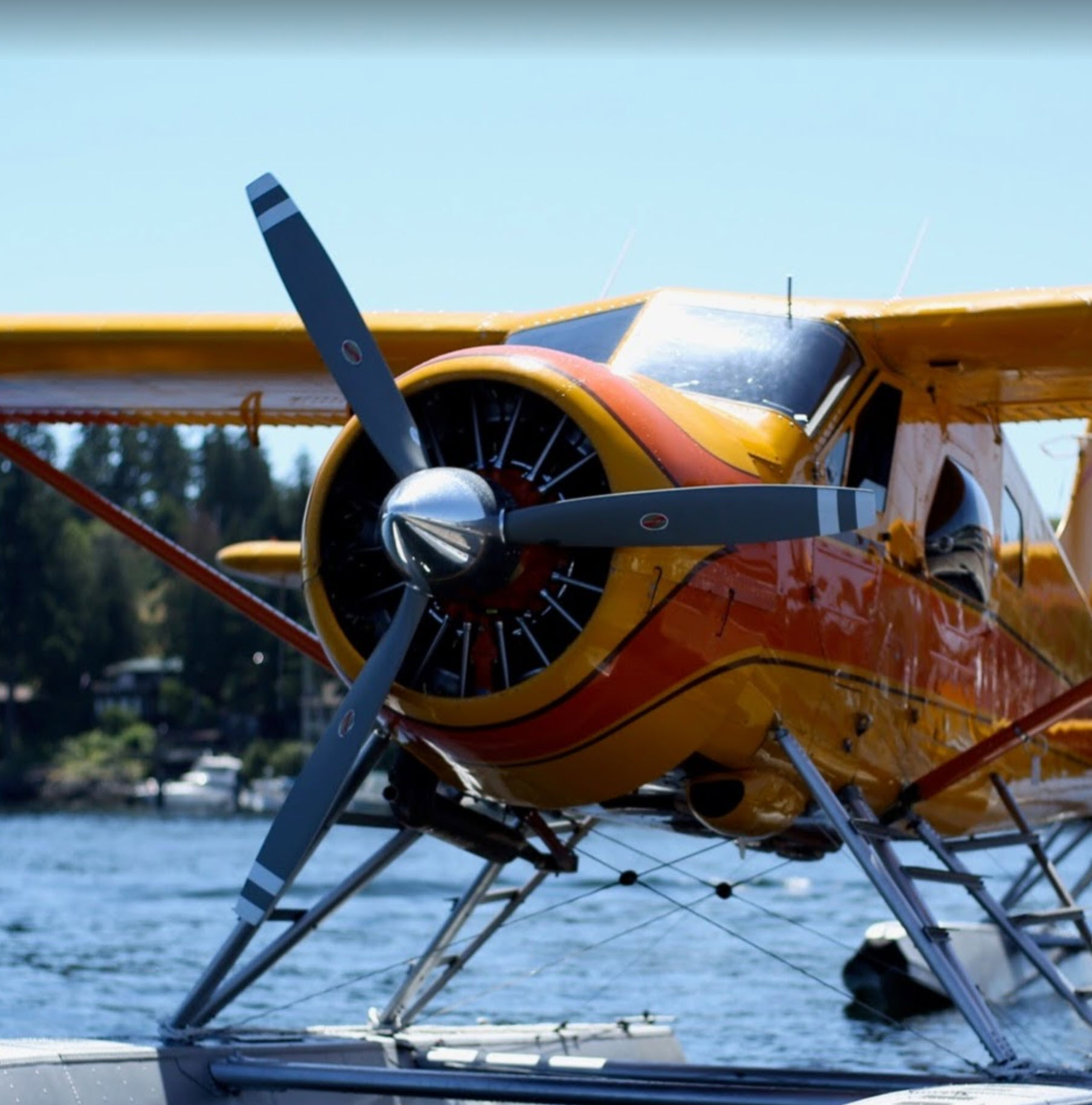 Friday Harbor Seaplanes Photo