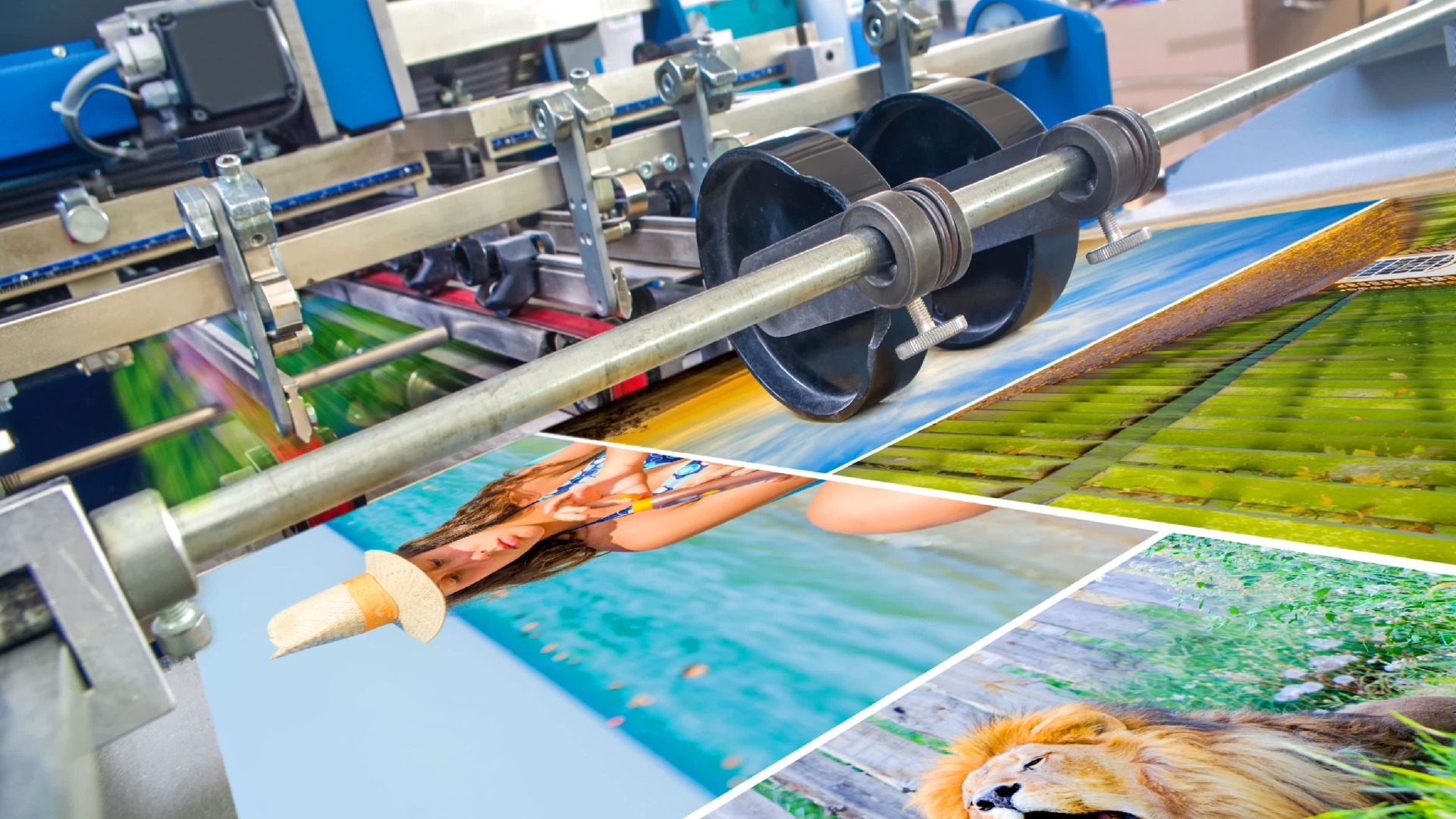 Galería en miniatura