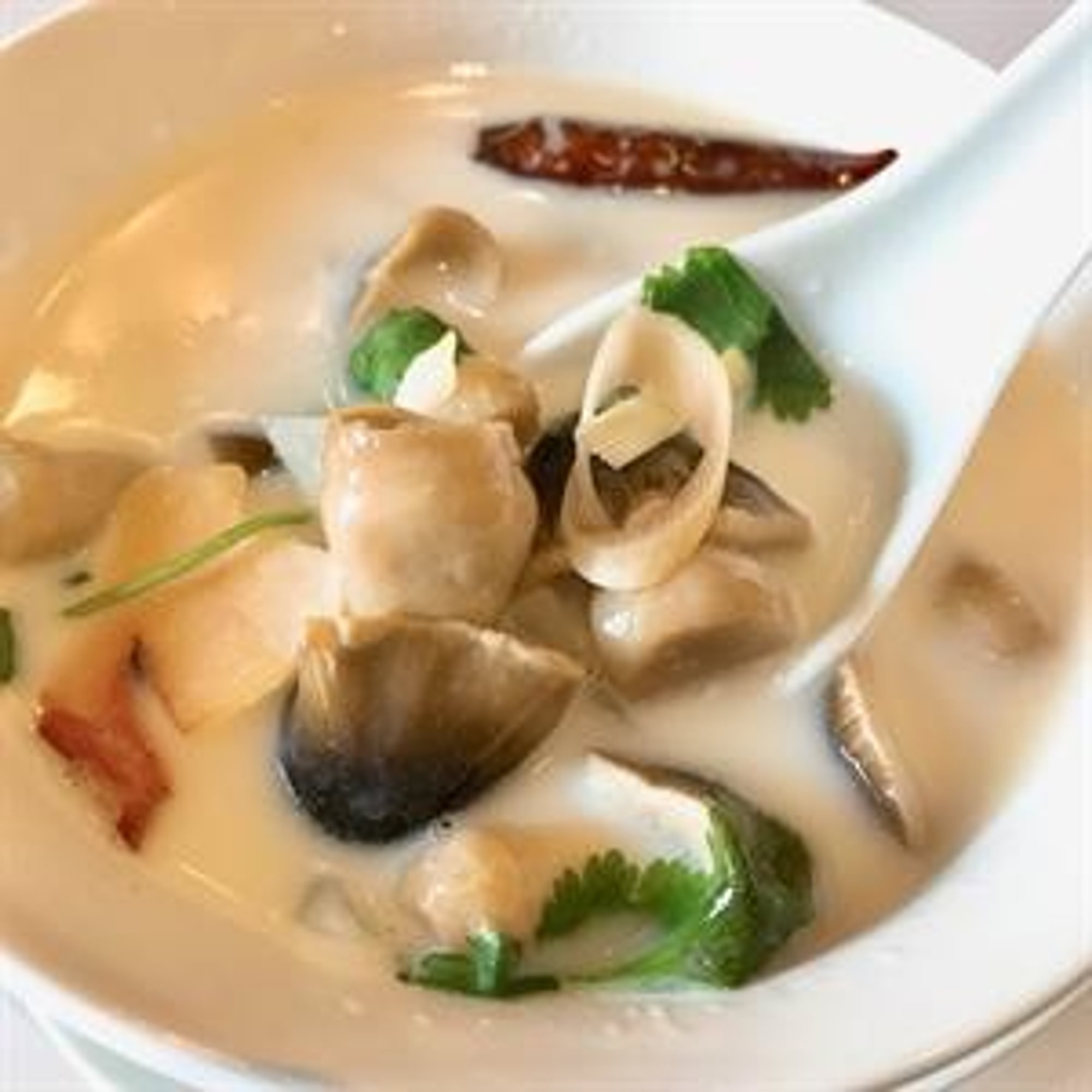 Tom Kha Hed