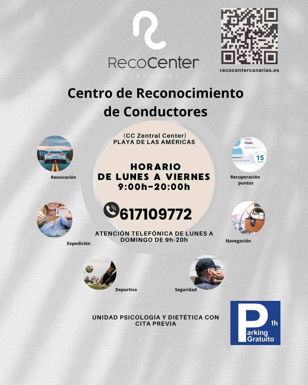 Galería en miniatura