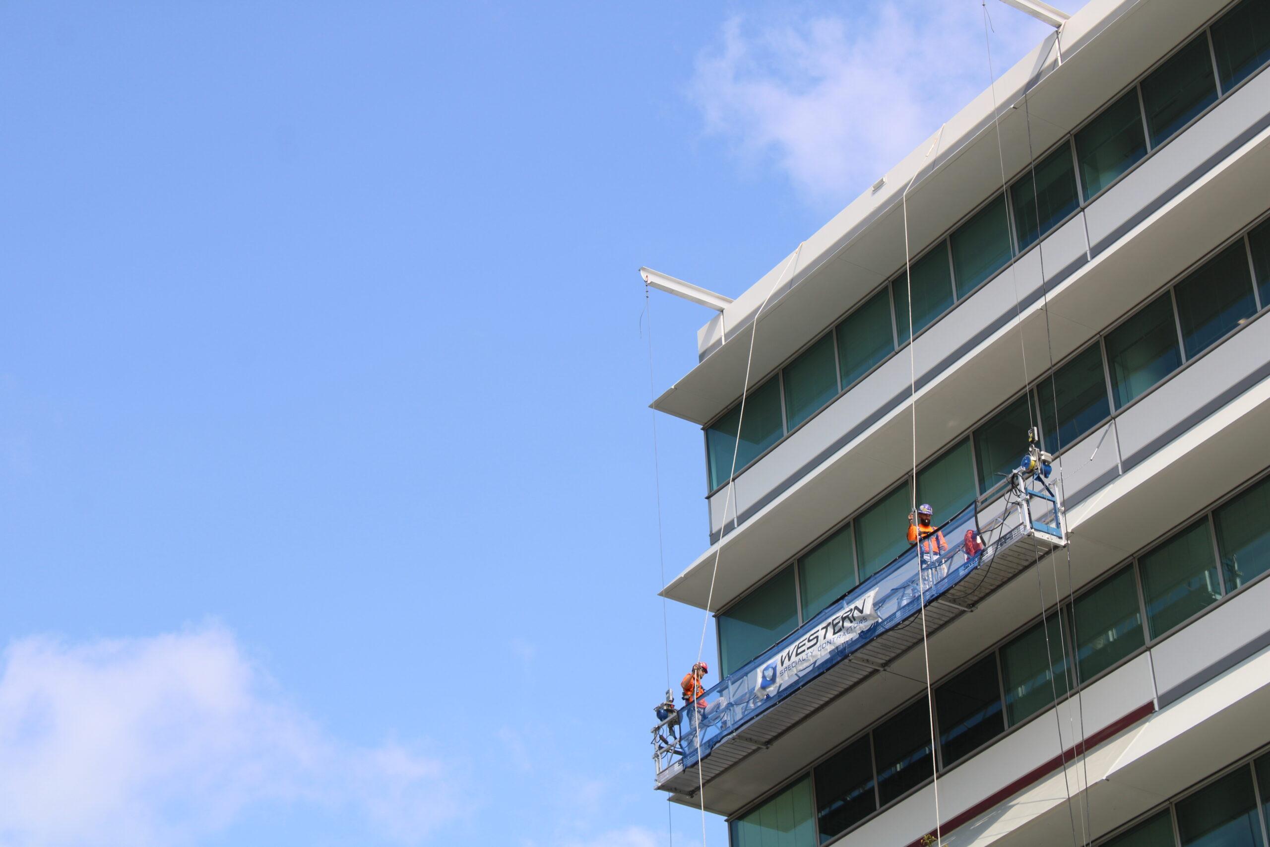 JC Toland Painting Image