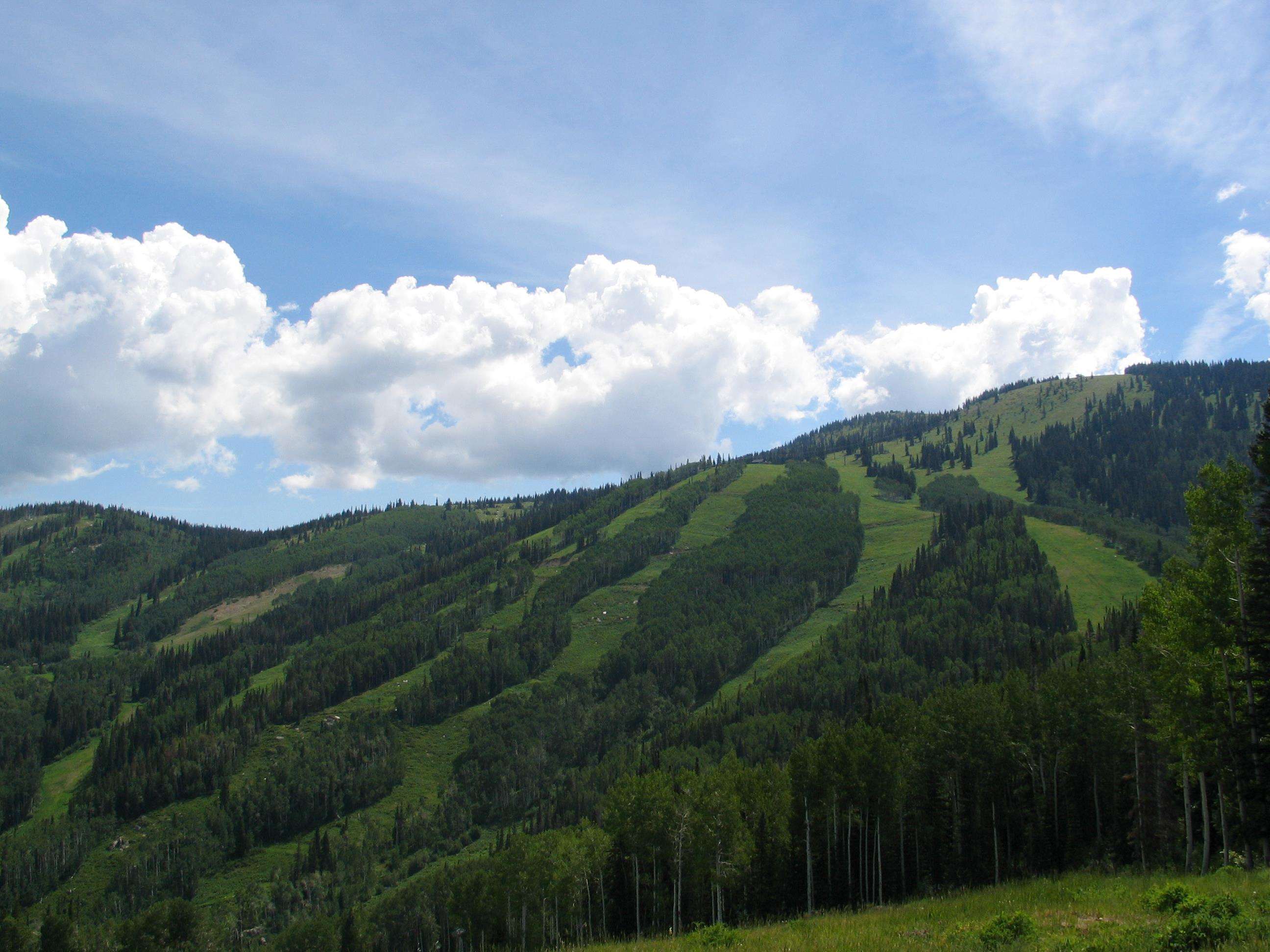 Hampton Inn & Suites Steamboat Springs Photo