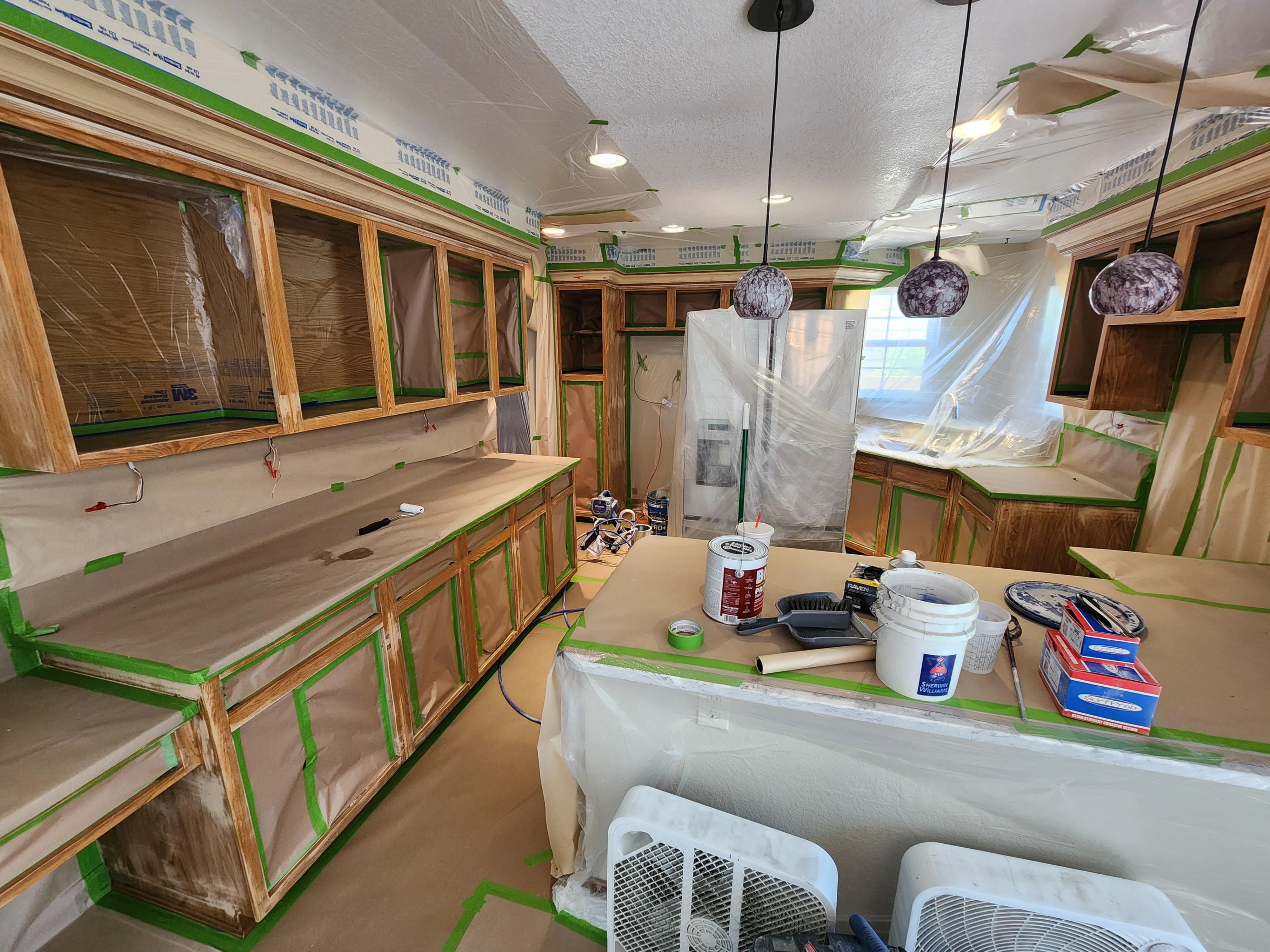 Wild Fox Painting of Highlands Ranch Image