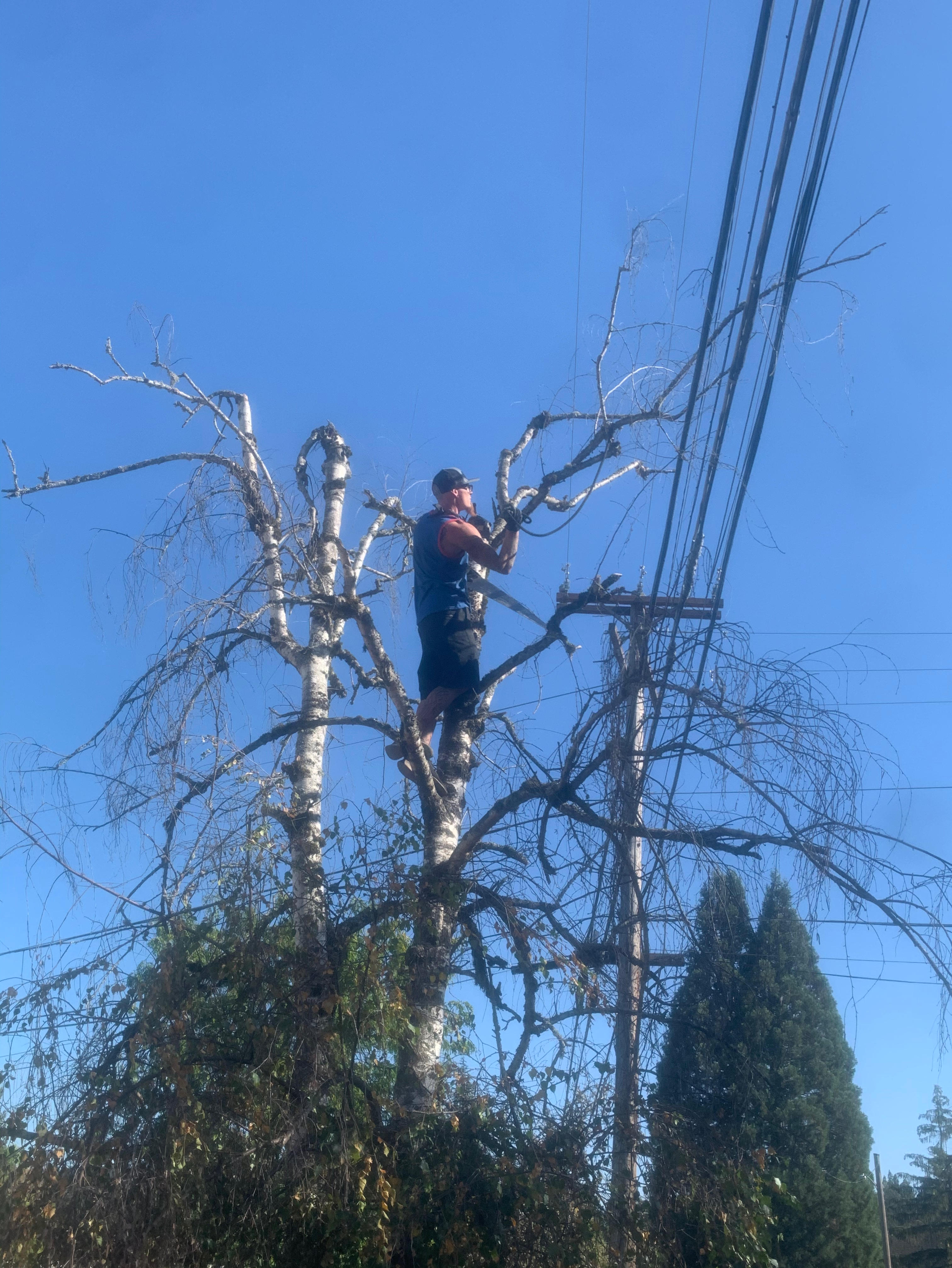 Handyman Helpers Logo