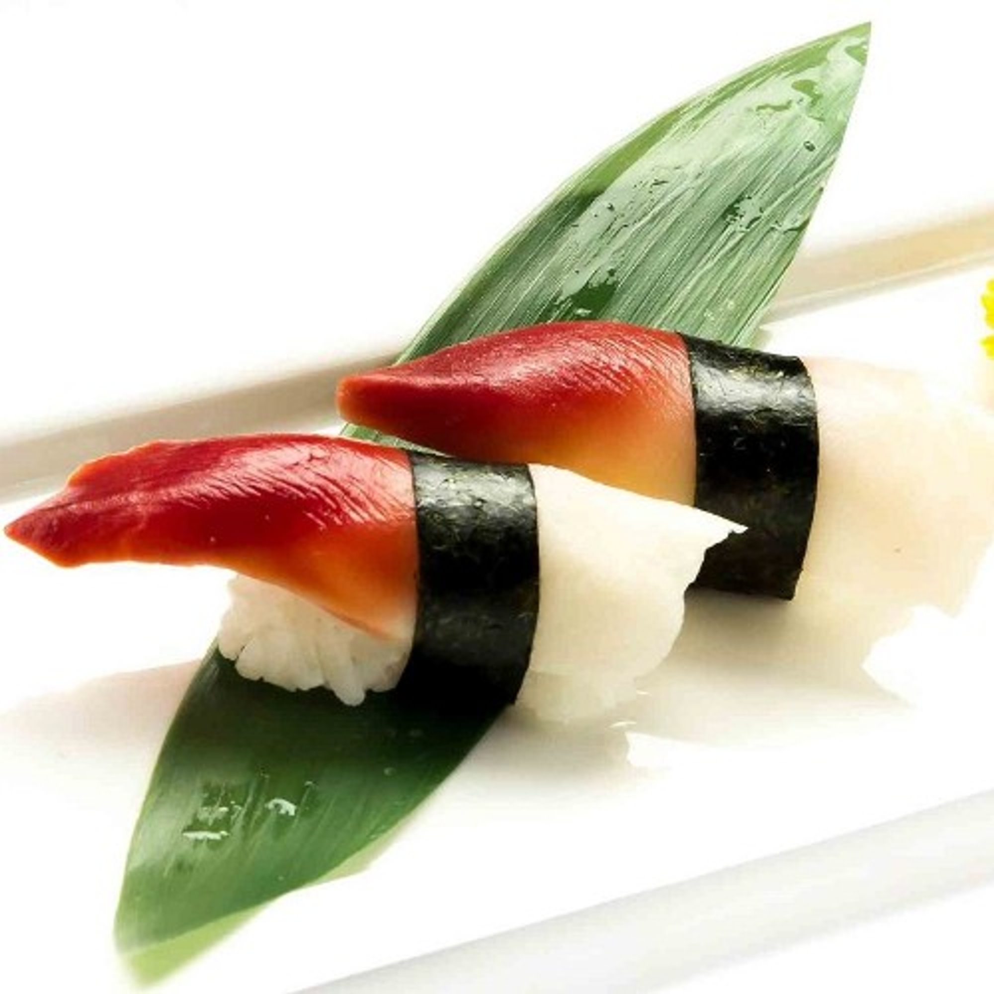 Surf Clam
