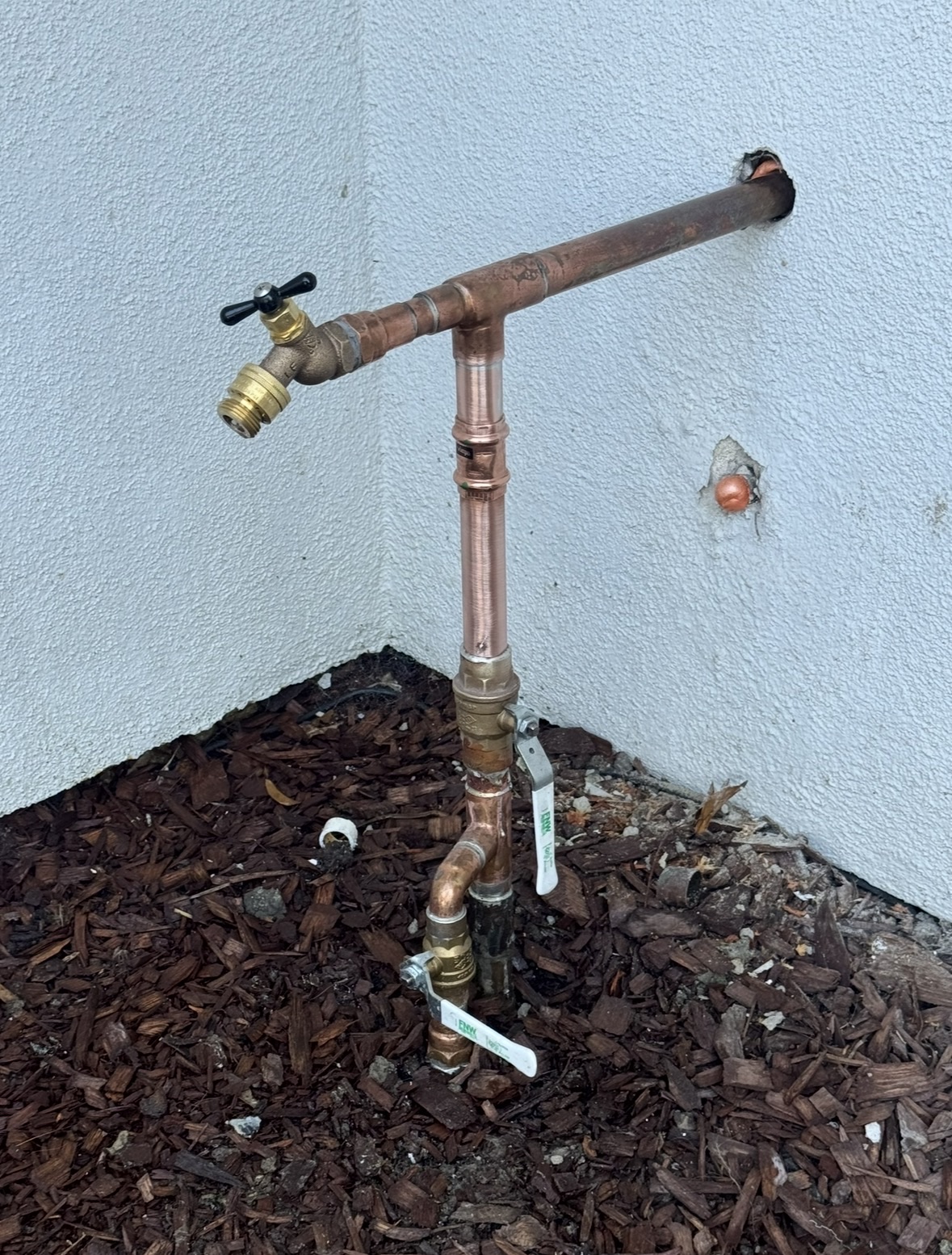 Purple Bird Plumbing