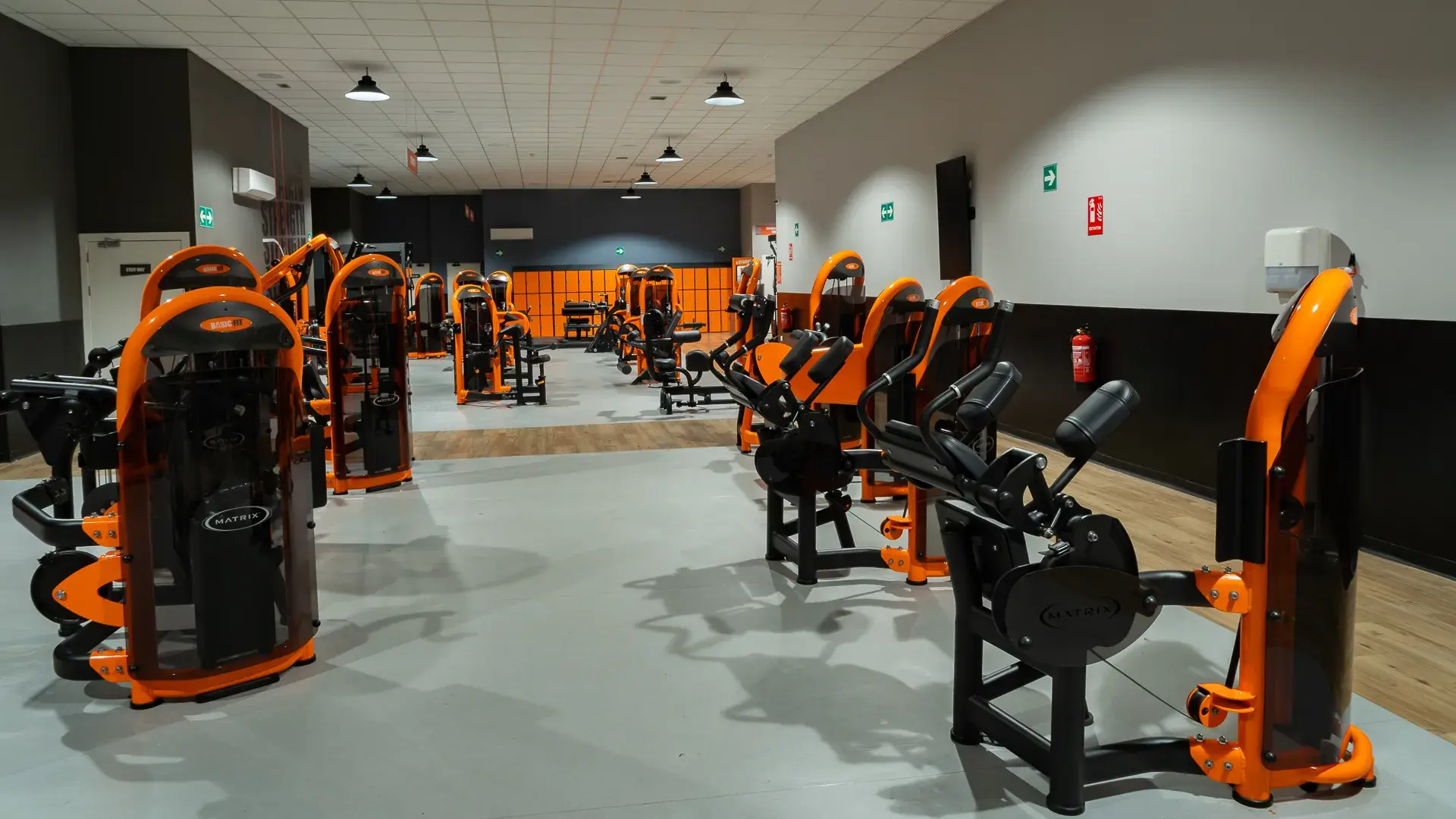 Galería en miniatura