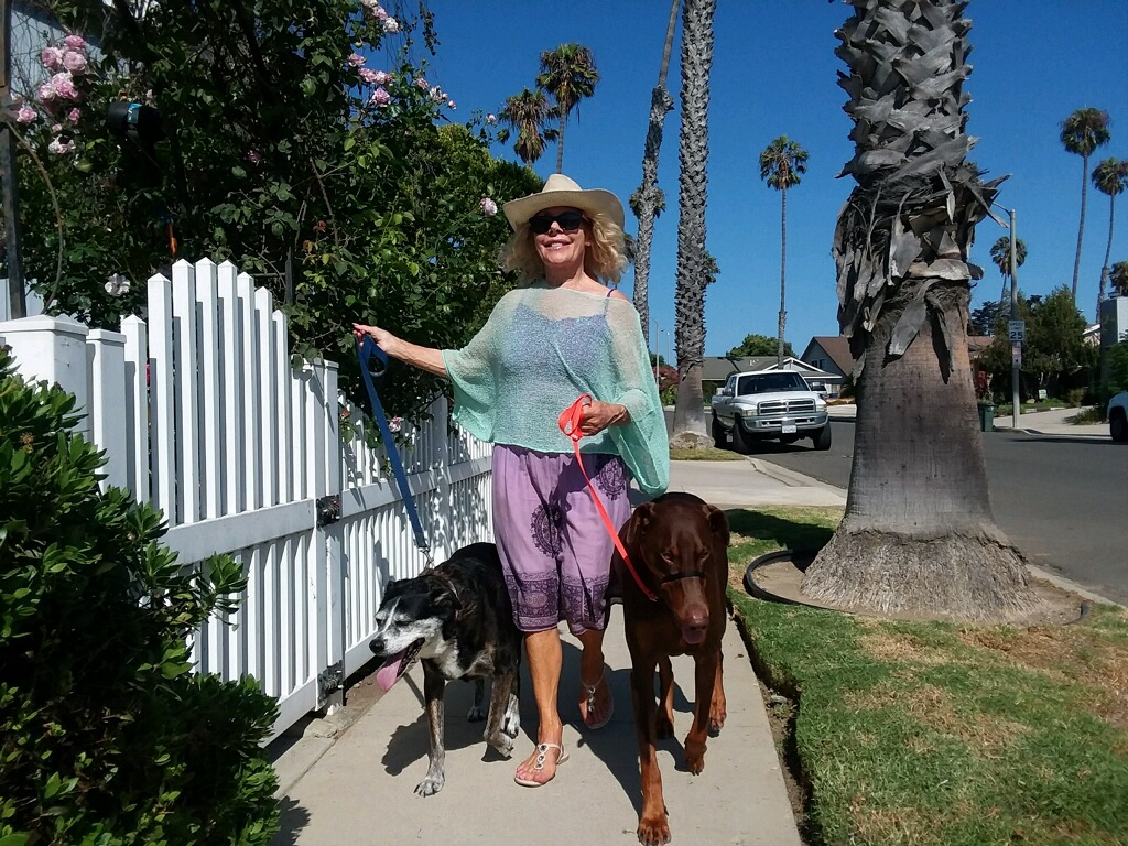 June (Owner) giving 2 dogs a nice walk