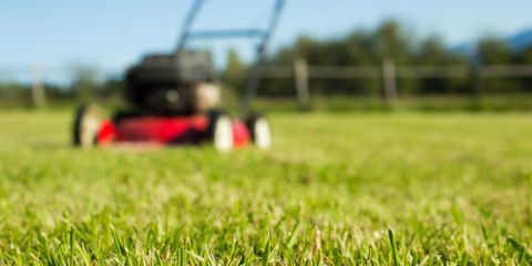 3 Reasons to Use a Lawn Treatment Service to Beautify Your Lawn